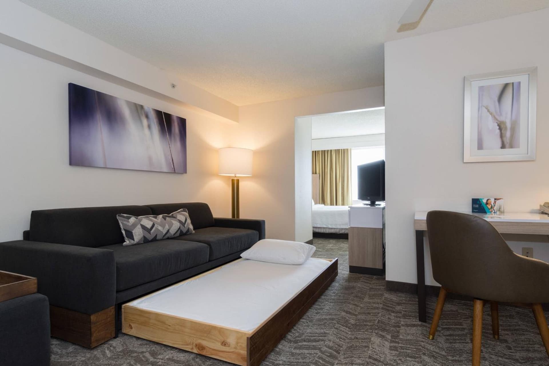SpringHill Suites by Marriott Charlotte / Concord Mills Speedway gallery photo in Concord, NC — image 8