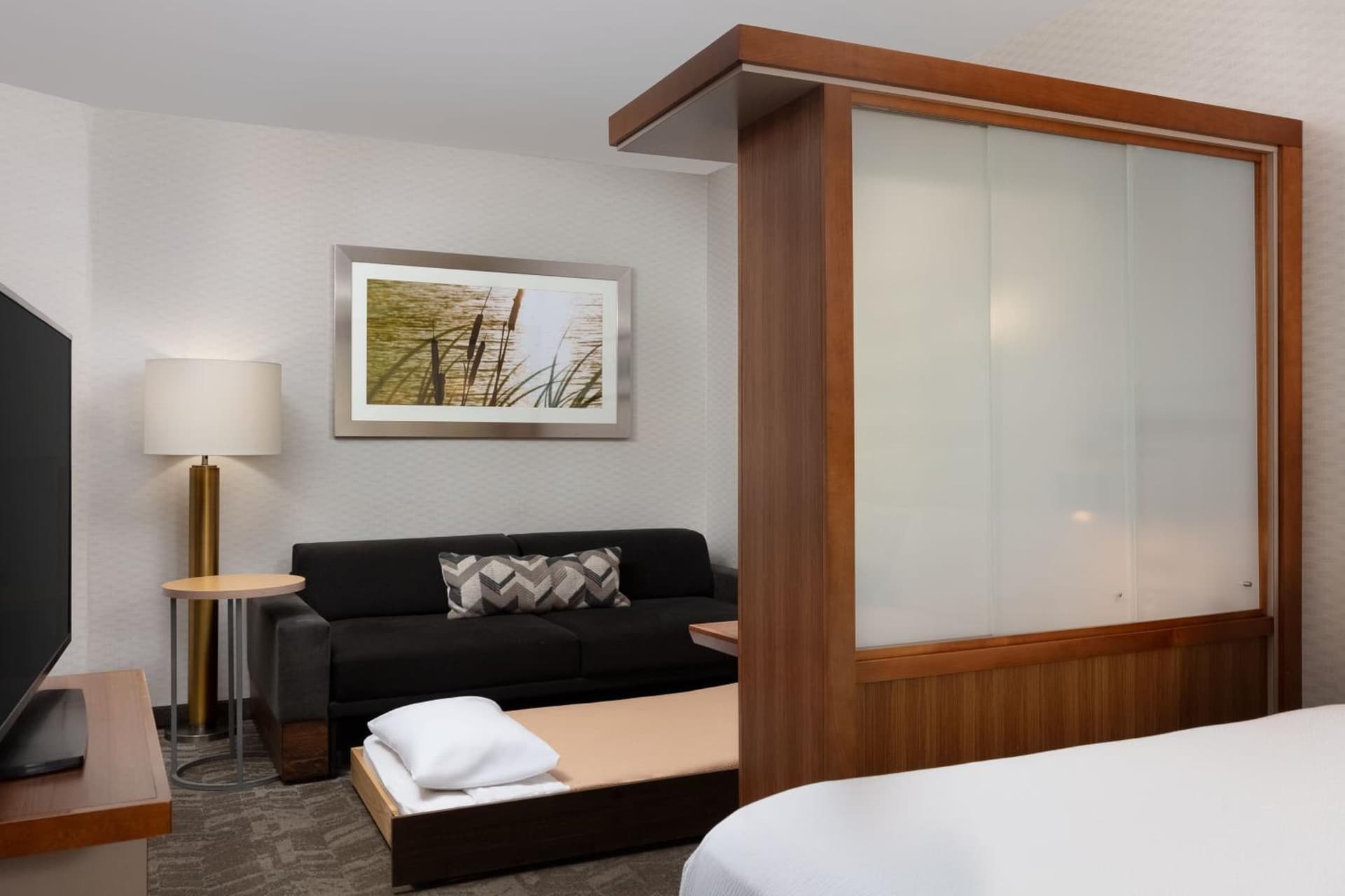 SpringHill Suites by Marriott Grand Junction Downtown/Historic Main Street gallery photo in Grand Junction, CO — image 26