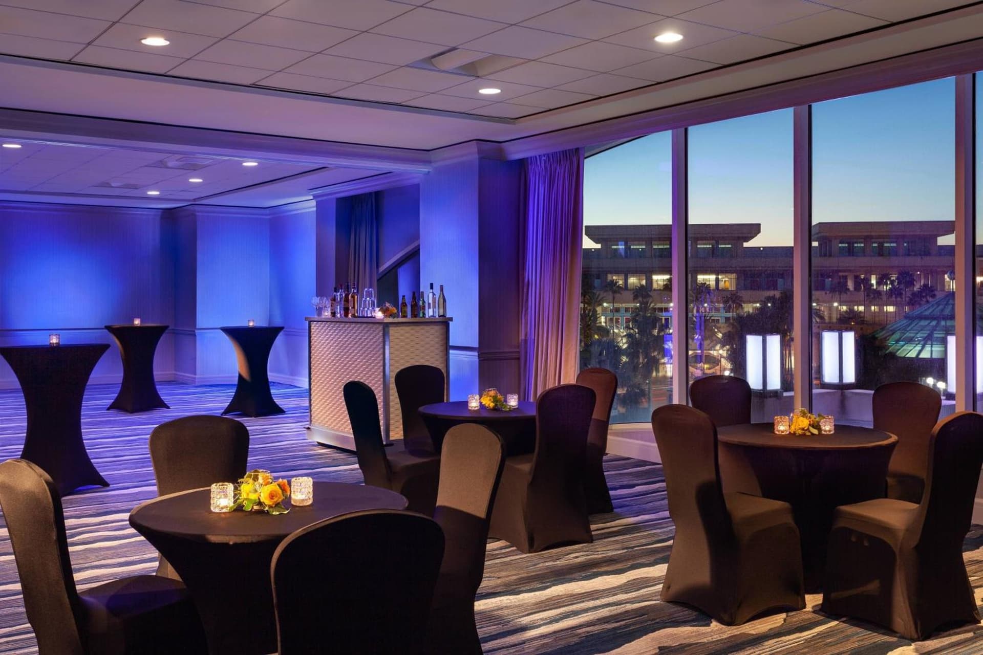 Tampa Marriott Water Street gallery photo in Tampa, FL — image 59