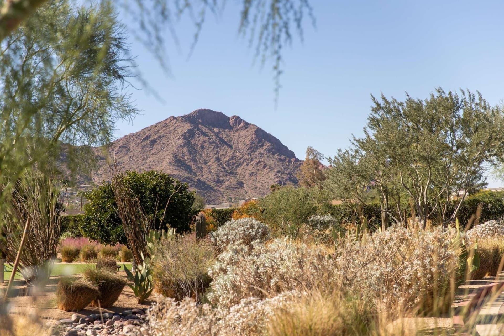 Andaz Scottsdale Resort & Bungalows gallery photo in Scottsdale, AZ — image 150