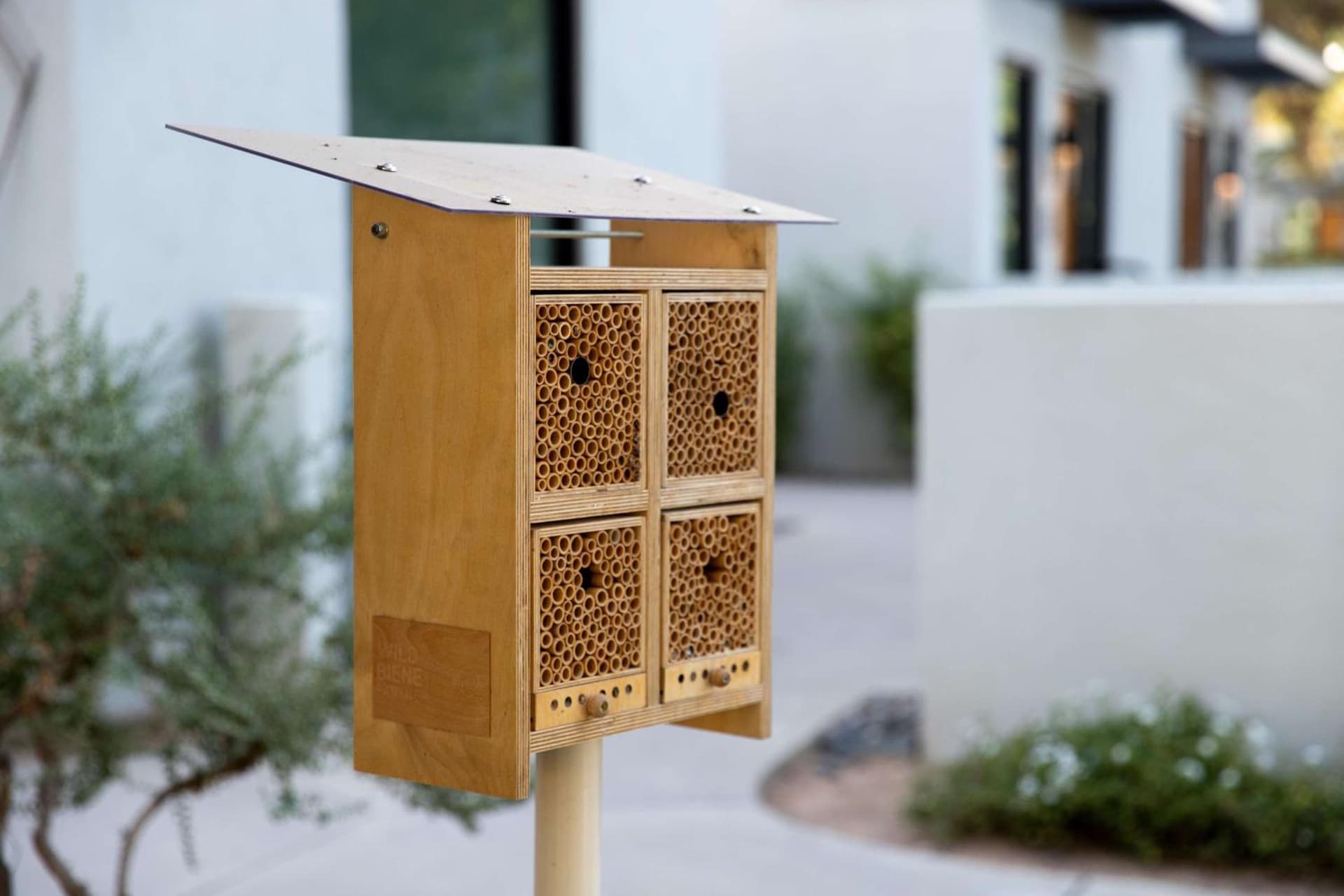 Andaz Scottsdale Resort & Bungalows gallery photo in Scottsdale, AZ — image 86