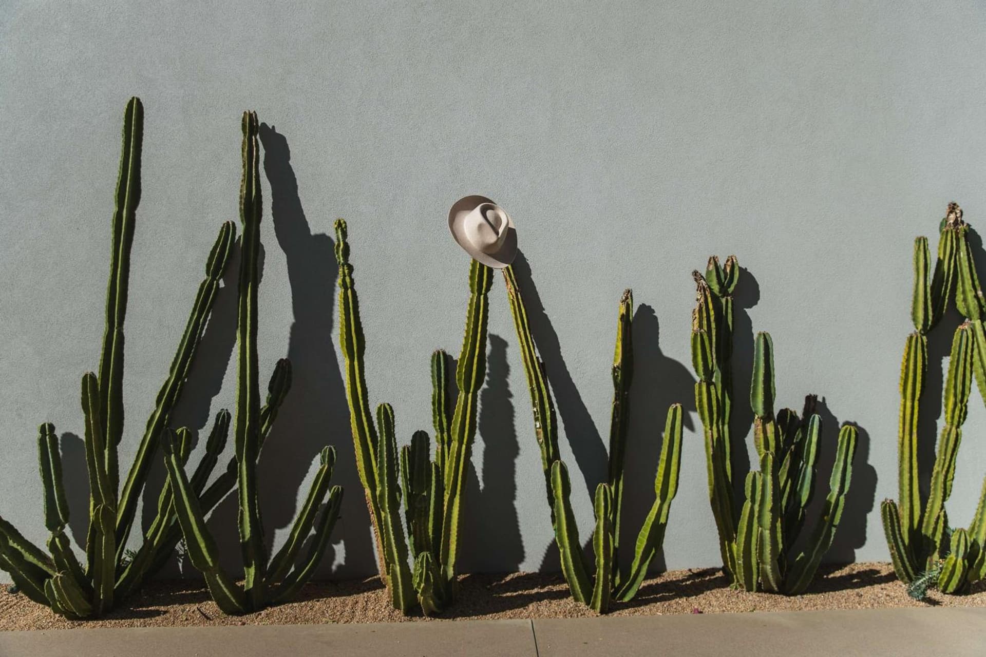 Andaz Scottsdale Resort & Bungalows gallery photo in Scottsdale, AZ — image 131