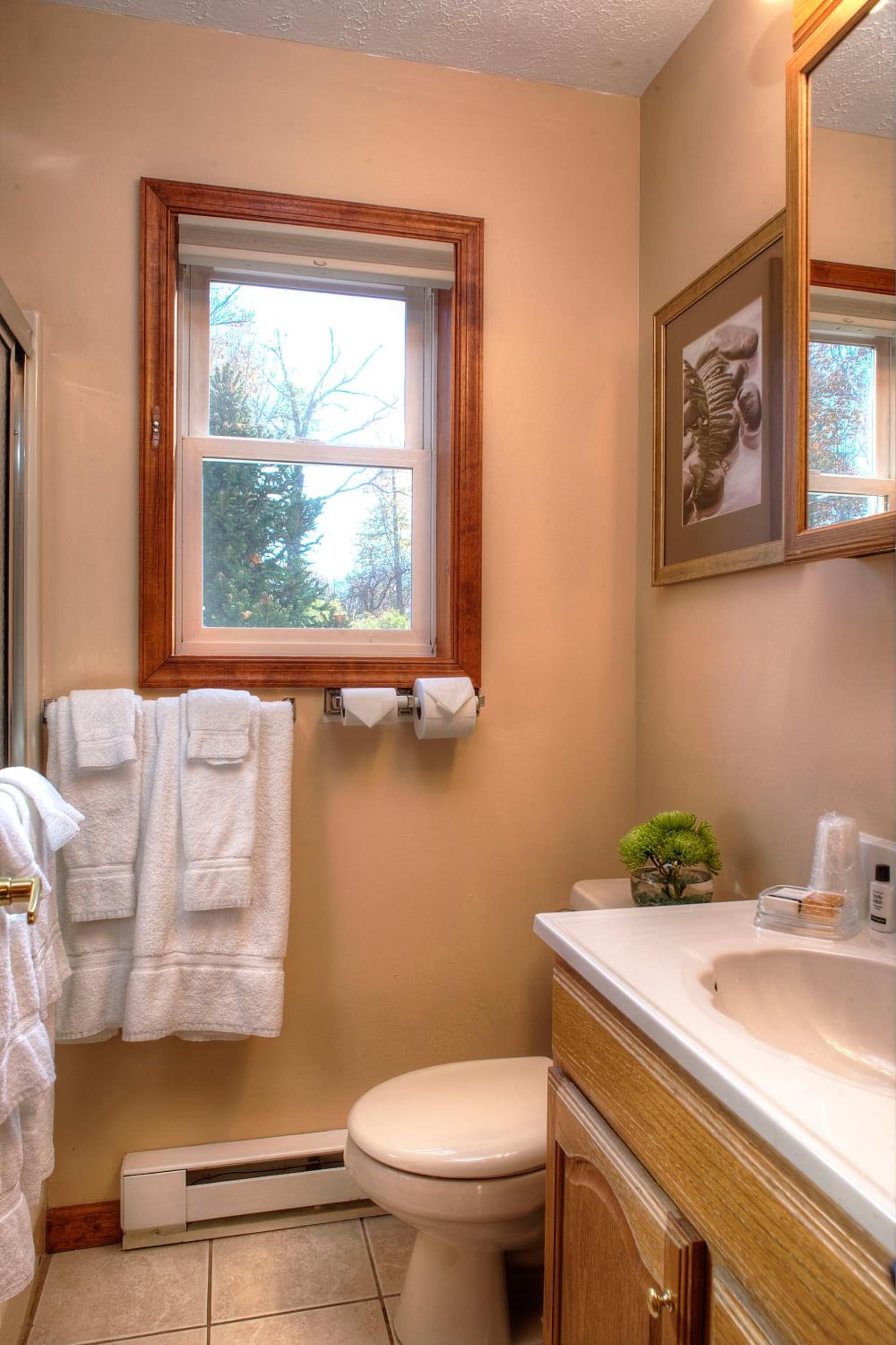 Woodfield Manor - A Sundance Vacations Property gallery photo in Cresco, PA — image 46