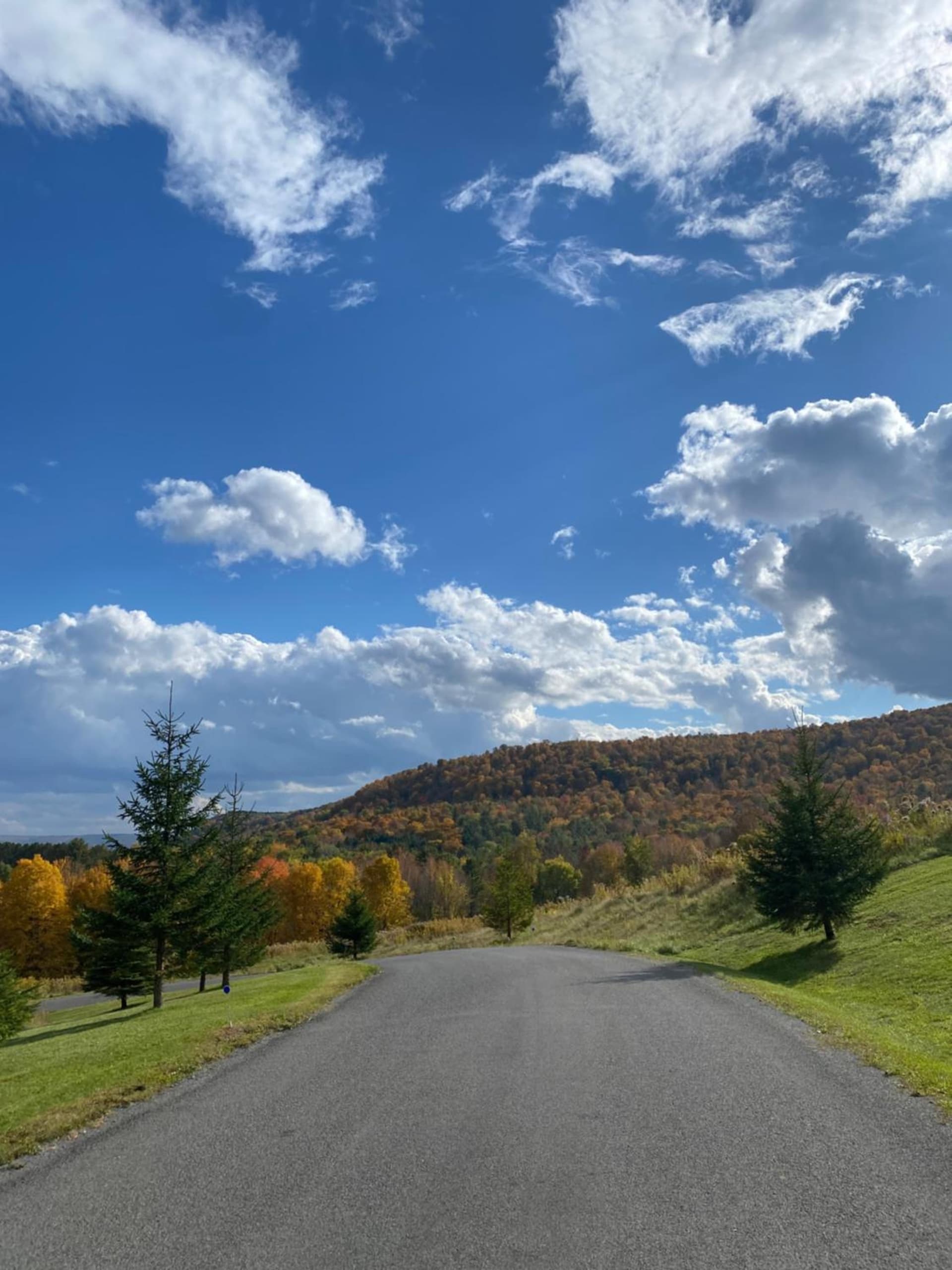 August Lodge Cooperstown gallery photo in Hartwick Seminary, NY — image 15