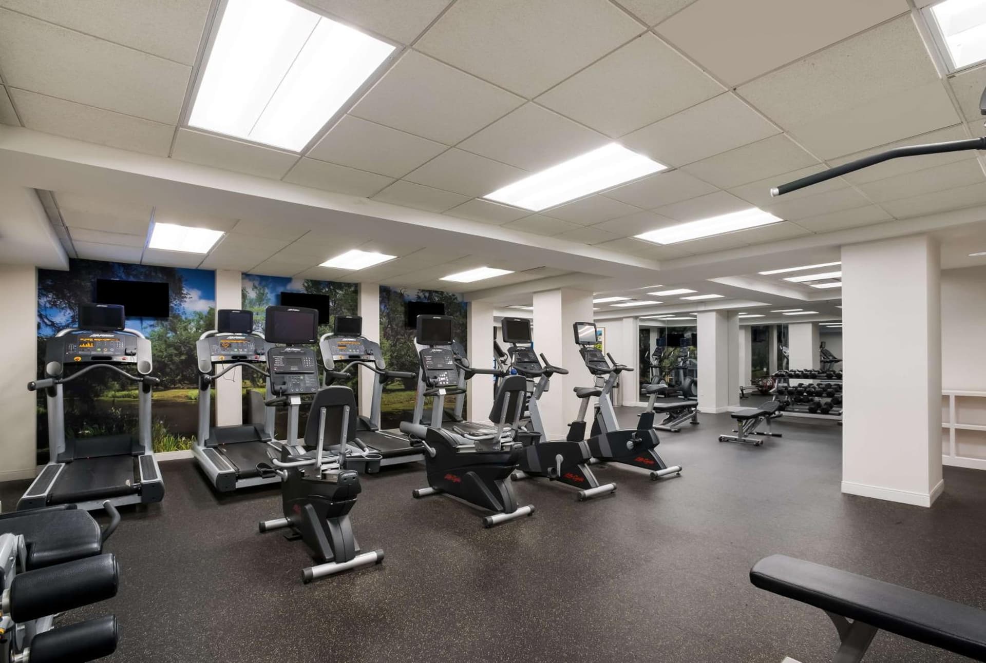 The Royal Sonesta New Orleans gallery photo in New Orleans, LA — image 54