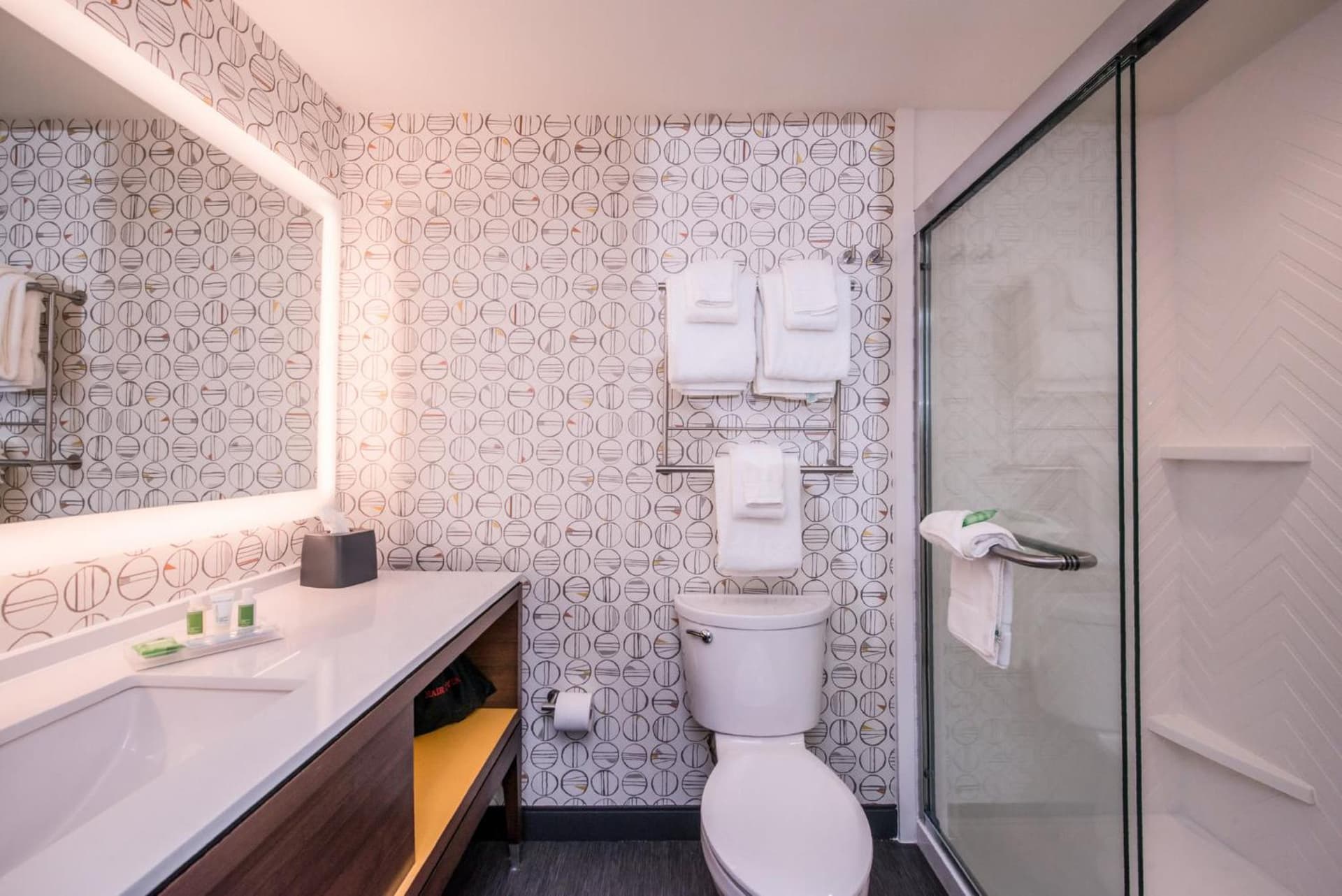 Holiday Inn Detroit Northwest - Livonia by IHG gallery photo in Livonia, MI — image 37