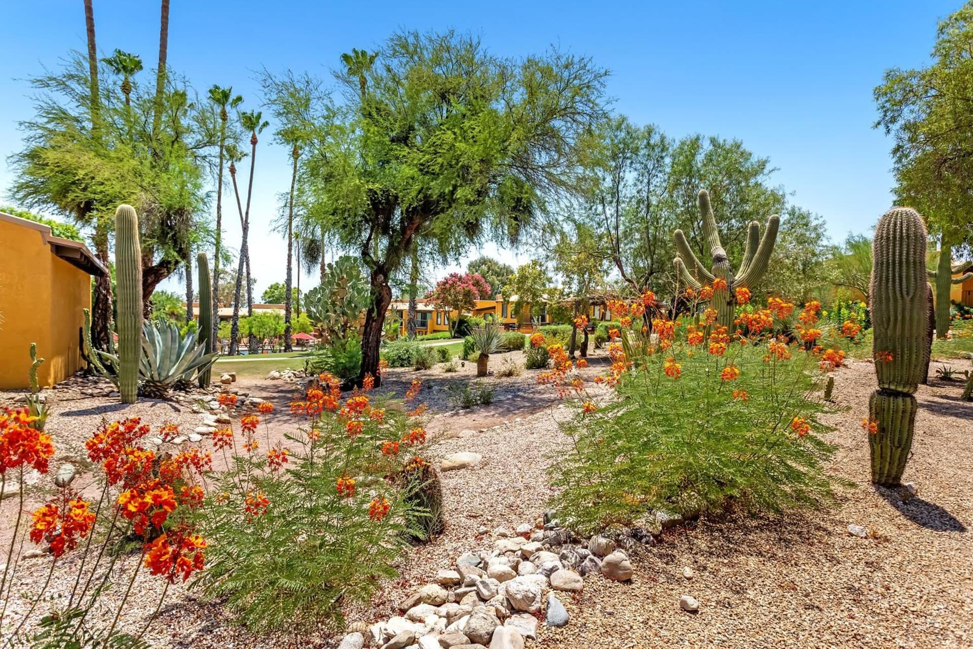 Westward Look Wyndham Grand Resort & Spa gallery photo in Tucson, AZ — image 114