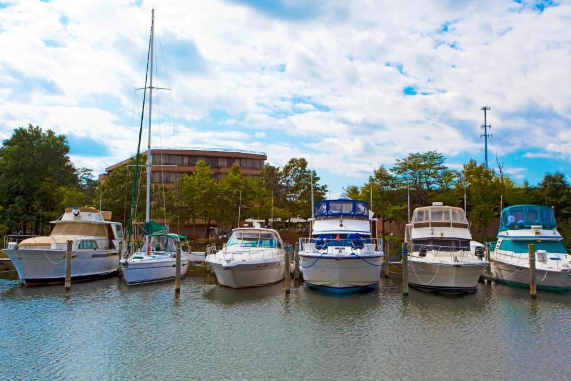 Solomons Inn Resort and Marina gallery photo in Solomons, MD — image 6