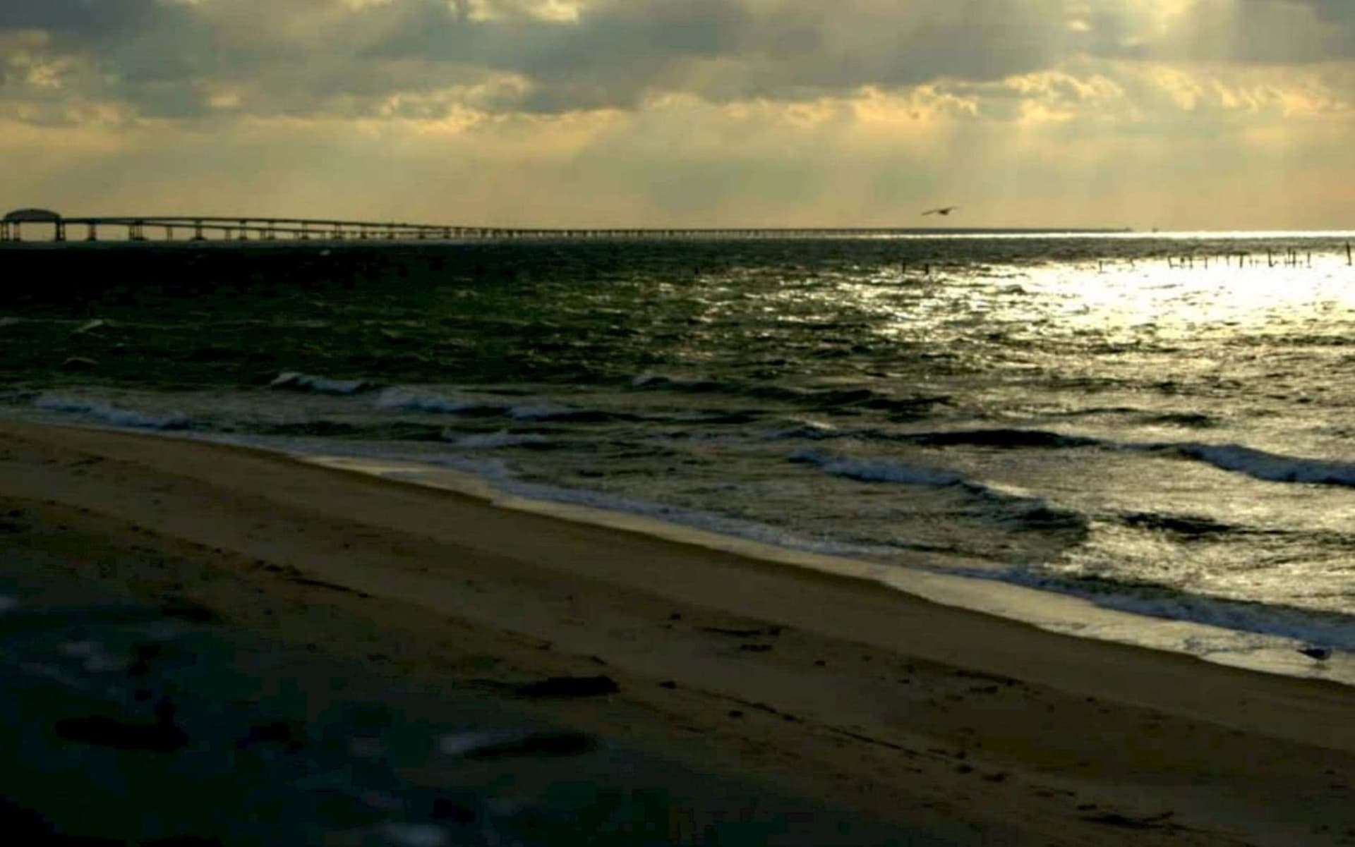Solomons Inn Resort and Marina gallery photo in Solomons, MD — image 17