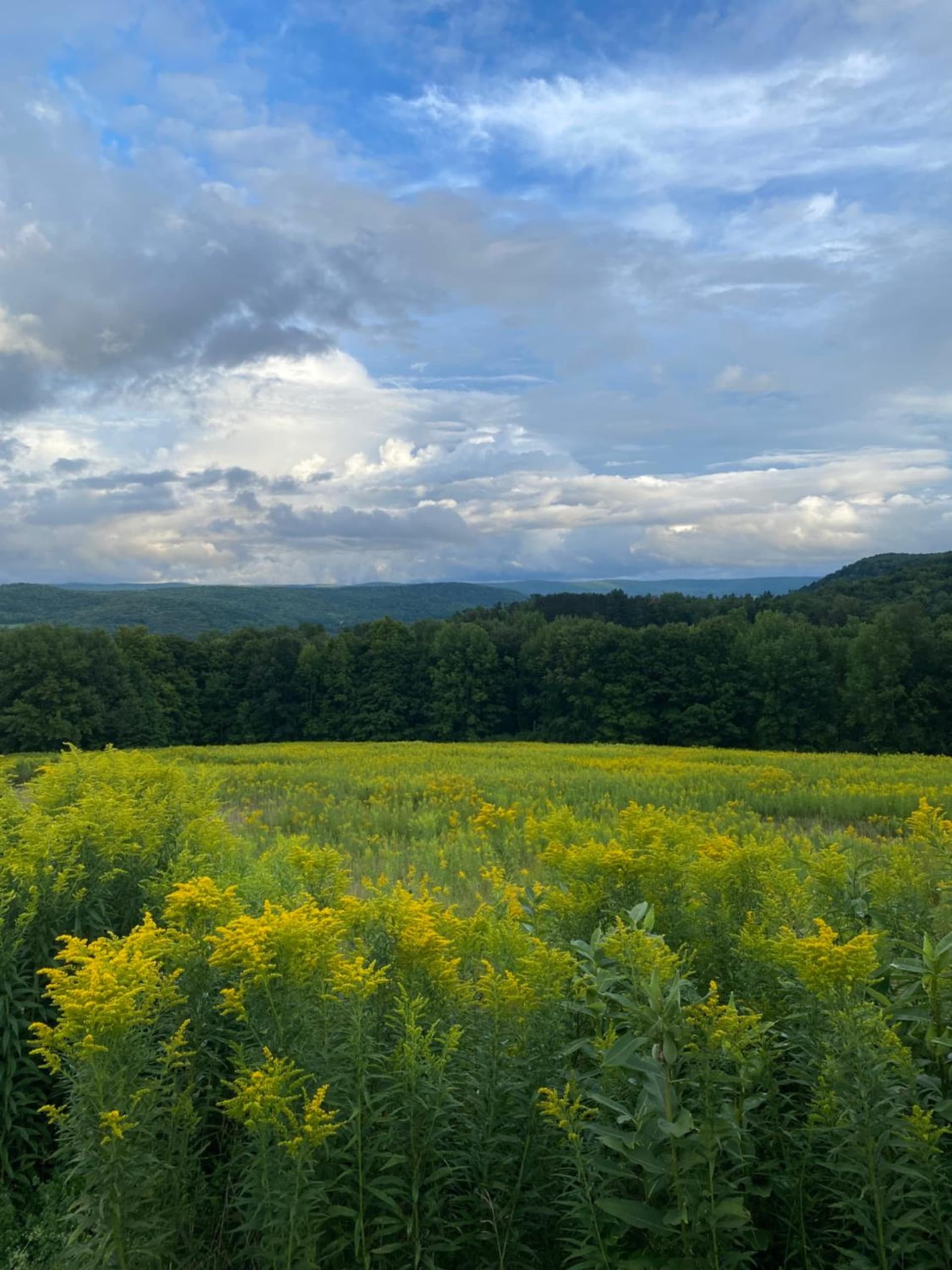 August Lodge Cooperstown gallery photo in Hartwick Seminary, NY — image 18