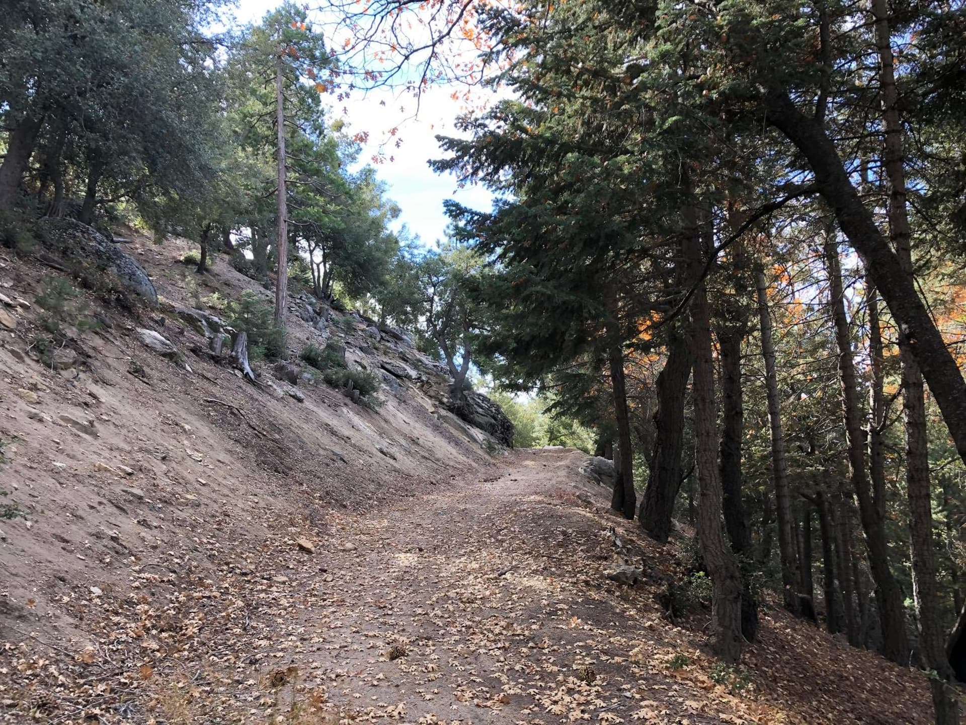 Alhatti Christian Resort gallery photo in Idyllwild, CA — image 26