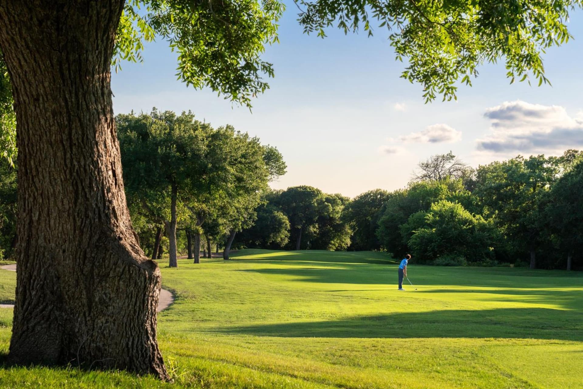 Dallas/Fort Worth Marriott Hotel & Golf Club at Champions Circle gallery photo in Roanoke, TX — image 6