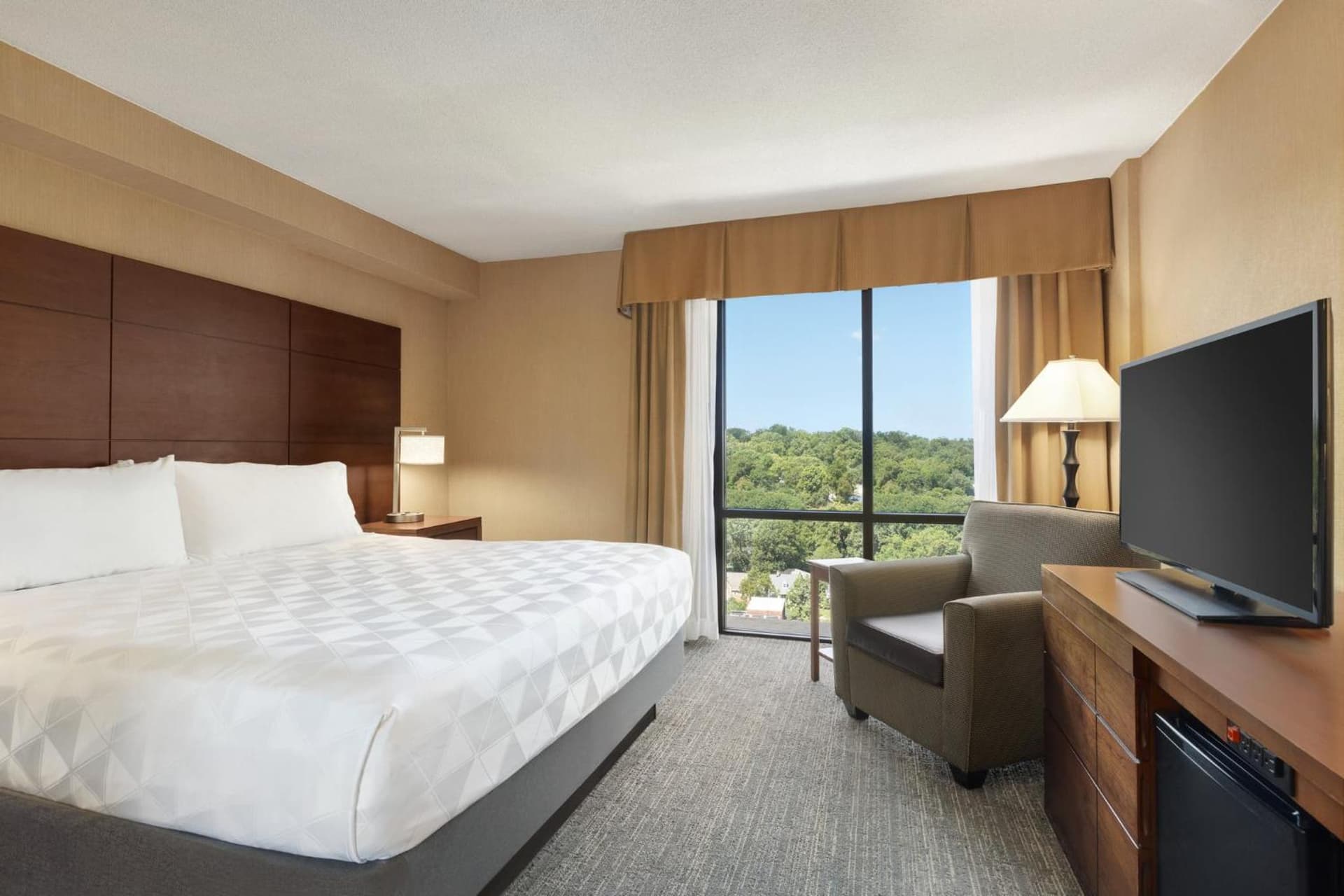 Holiday Inn National Airport/Crystal City by IHG gallery photo in Arlington, VA — image 48