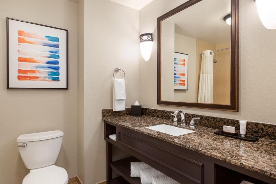 Embassy Suites by Hilton Orlando Lake Buena Vista South gallery photo in Kissimmee, FL — image 70