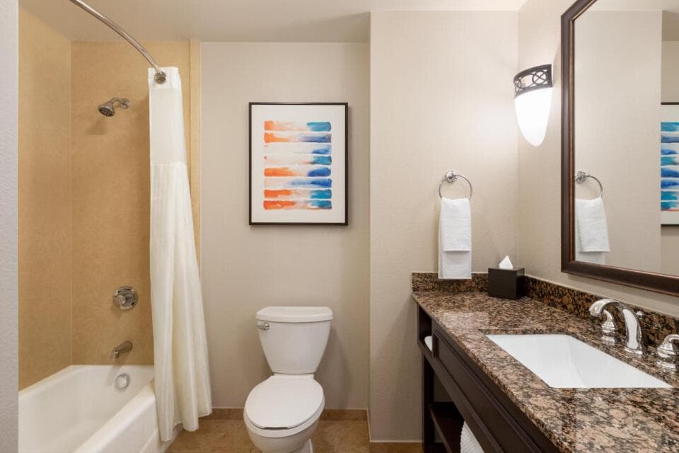 Embassy Suites by Hilton Orlando Lake Buena Vista South gallery photo in Kissimmee, FL — image 48
