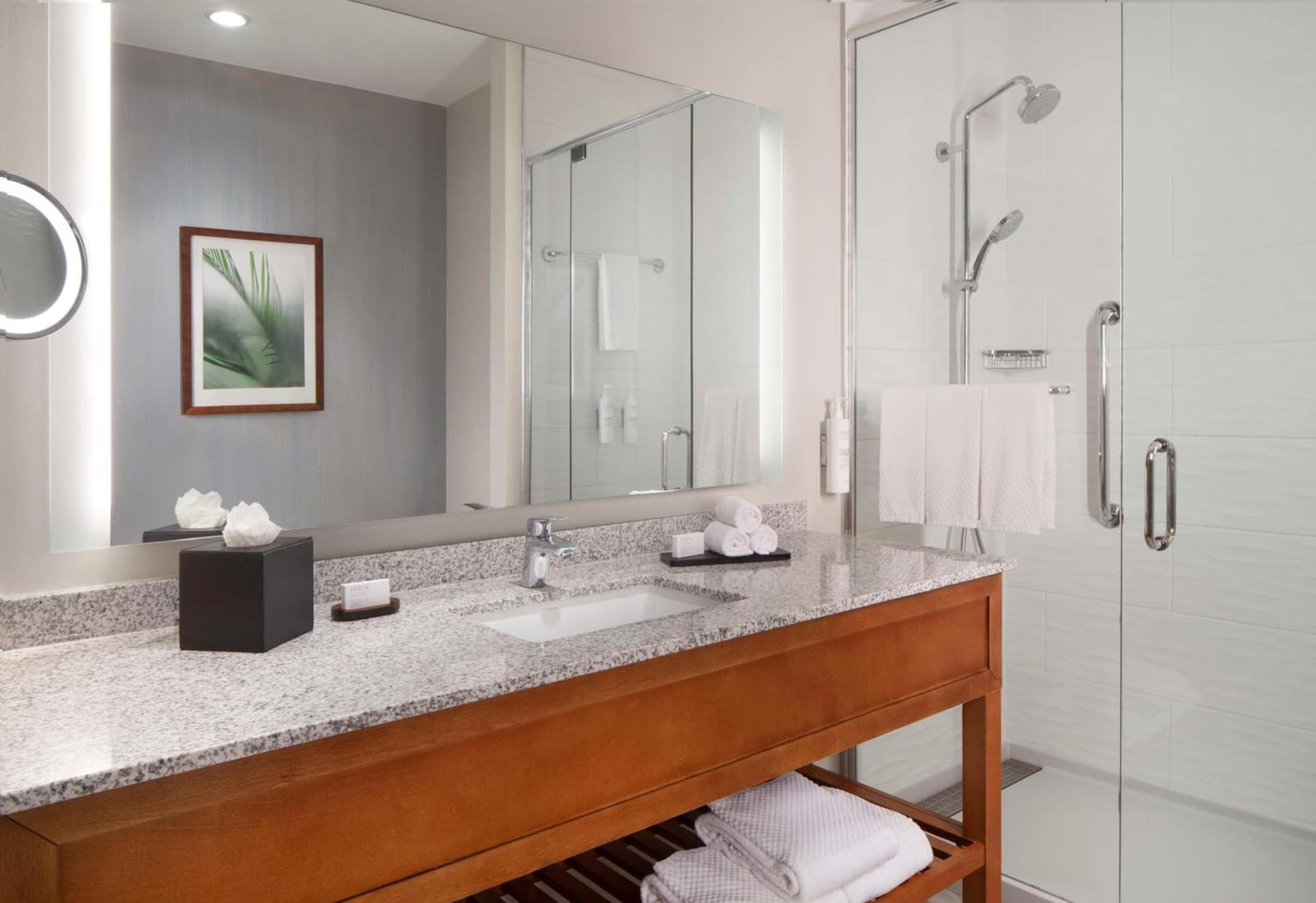 Embassy Suites By Hilton Sarasota gallery photo in Sarasota, FL — image 38