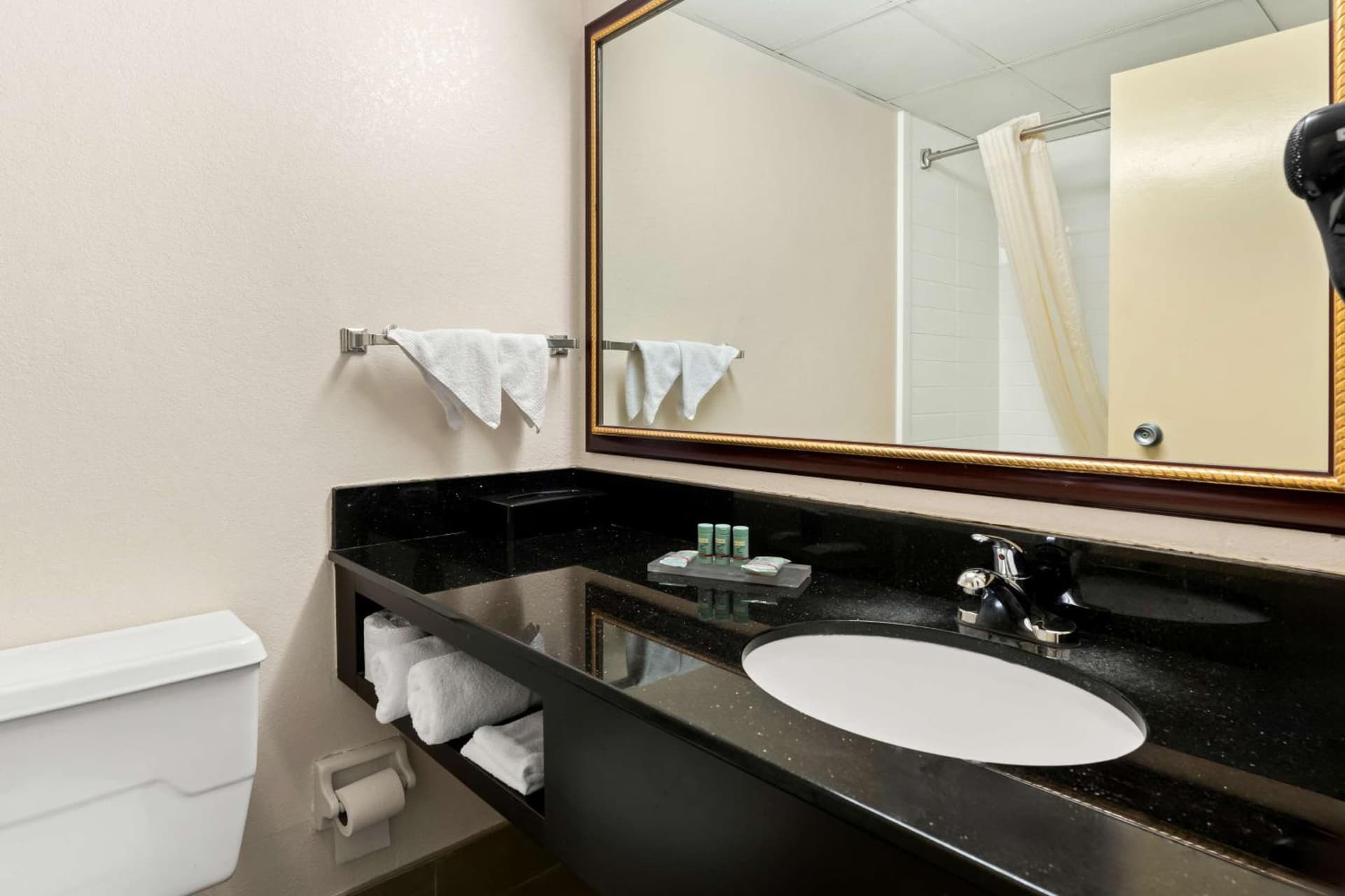Best Western Riverside Inn gallery photo in Macon, GA — image 27