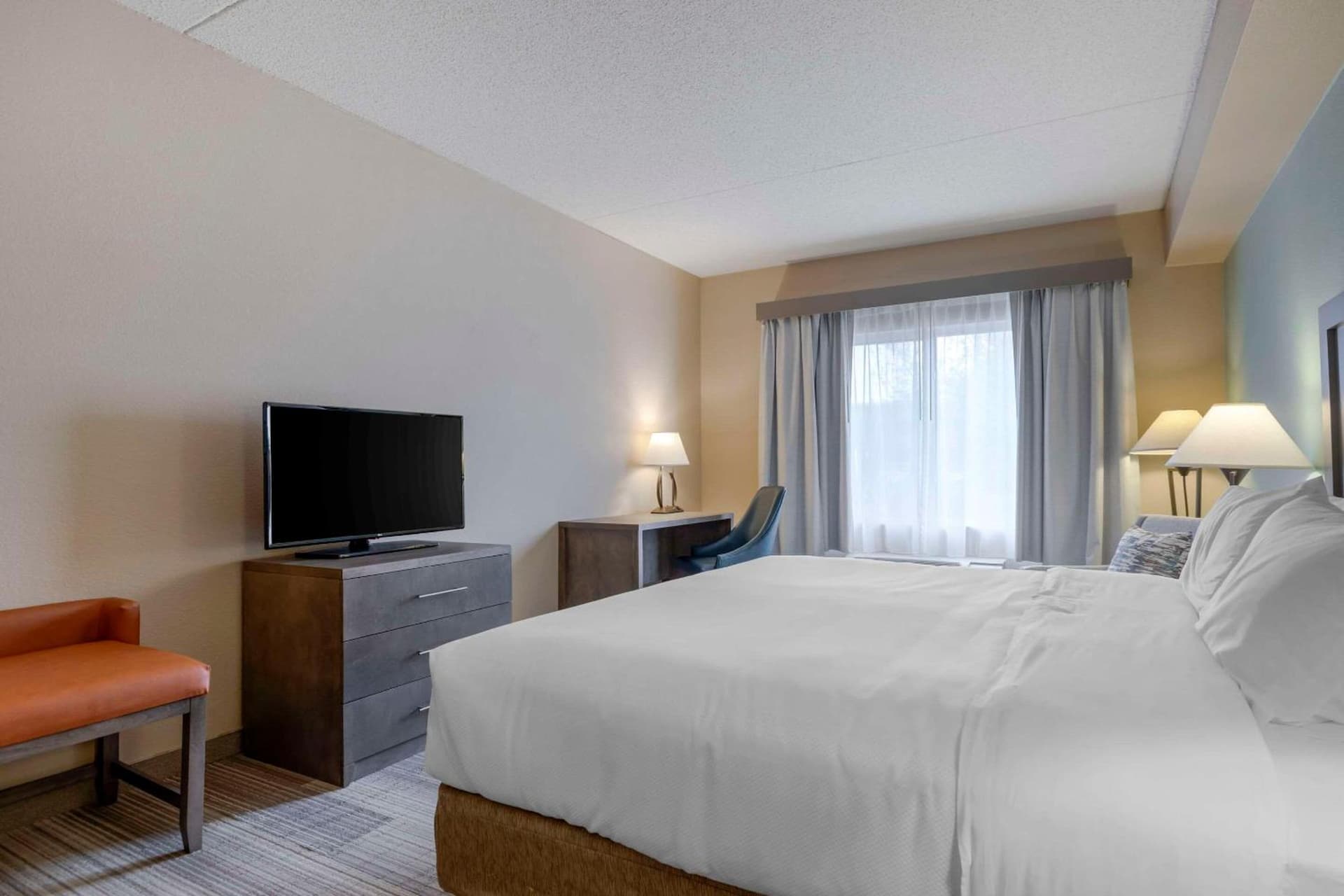 Comfort Inn & Suites Boulder gallery photo in Boulder, CO — image 58