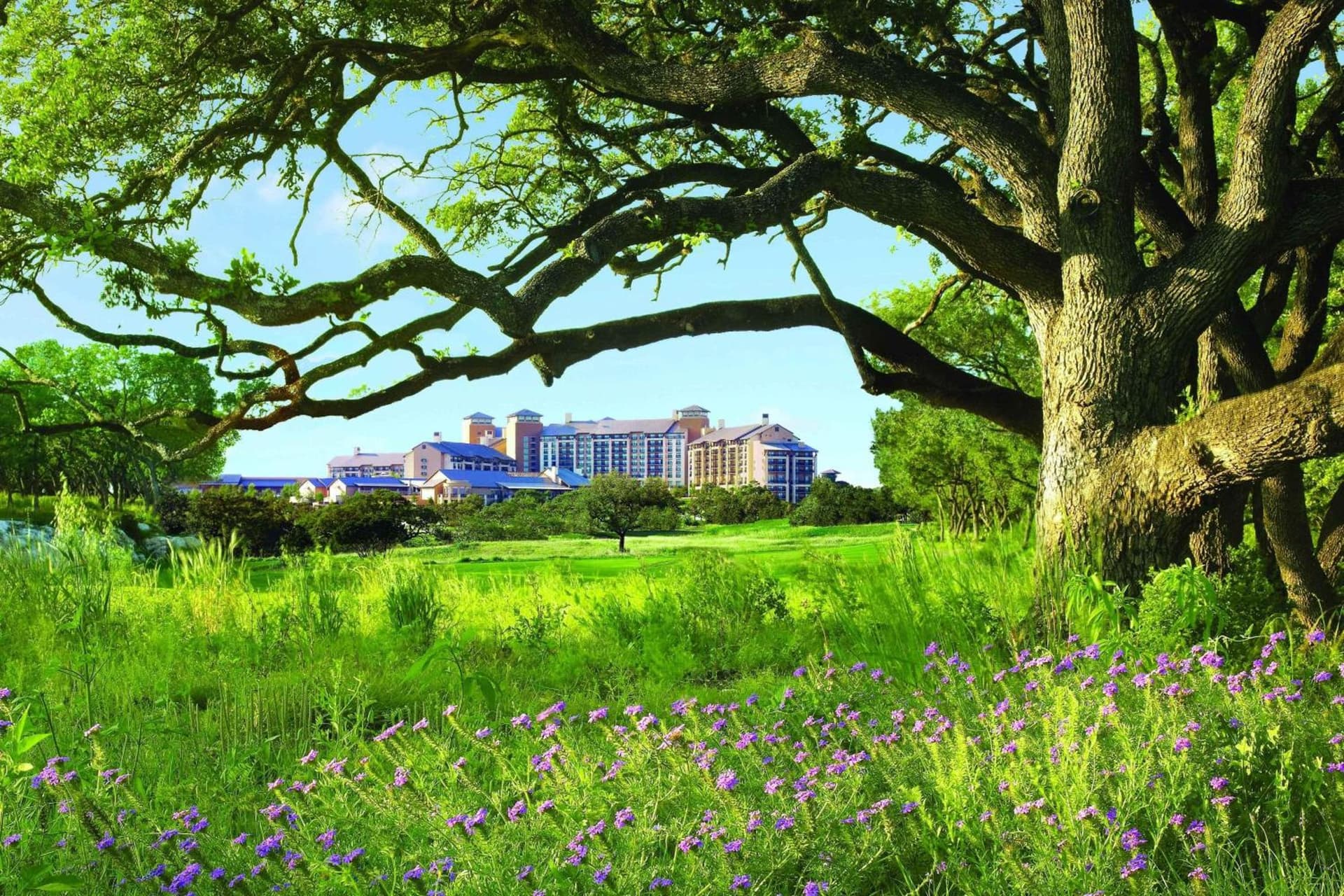 JW Marriott San Antonio Hill Country Resort & Spa gallery photo in San Antonio, TX — image 164