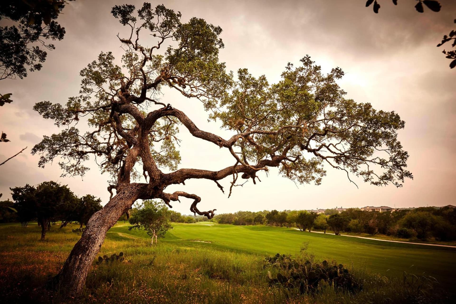 JW Marriott San Antonio Hill Country Resort & Spa gallery photo in San Antonio, TX — image 193