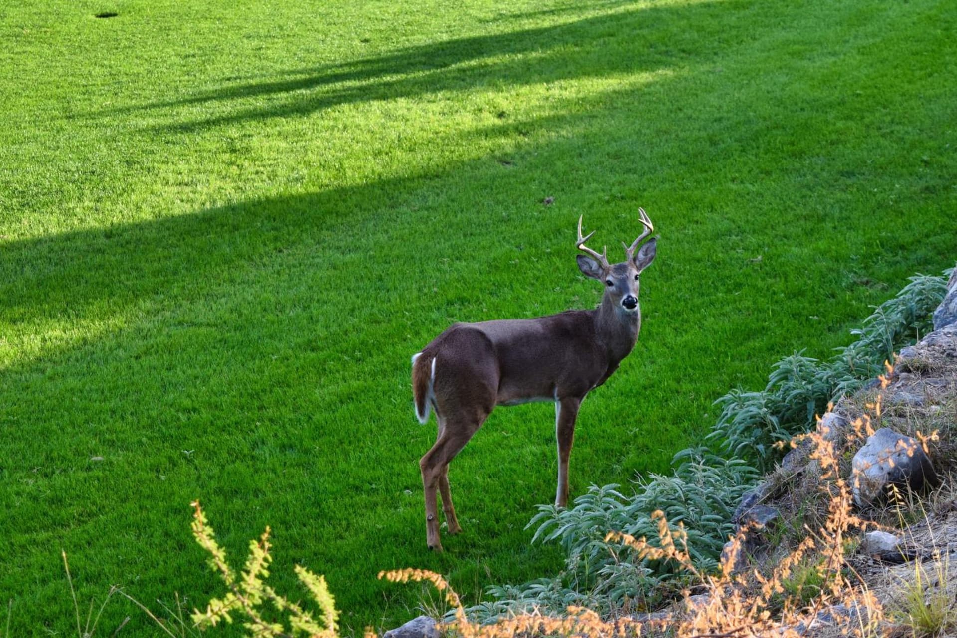 JW Marriott San Antonio Hill Country Resort & Spa gallery photo in San Antonio, TX — image 246