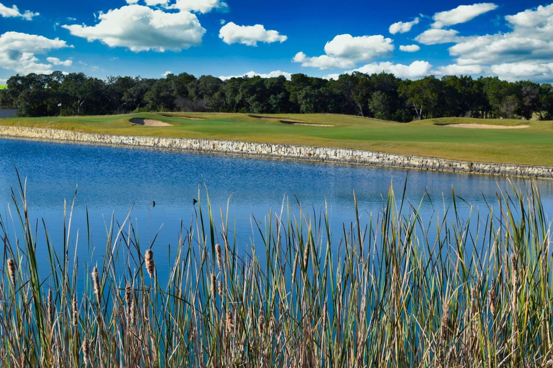 JW Marriott San Antonio Hill Country Resort & Spa gallery photo in San Antonio, TX — image 147