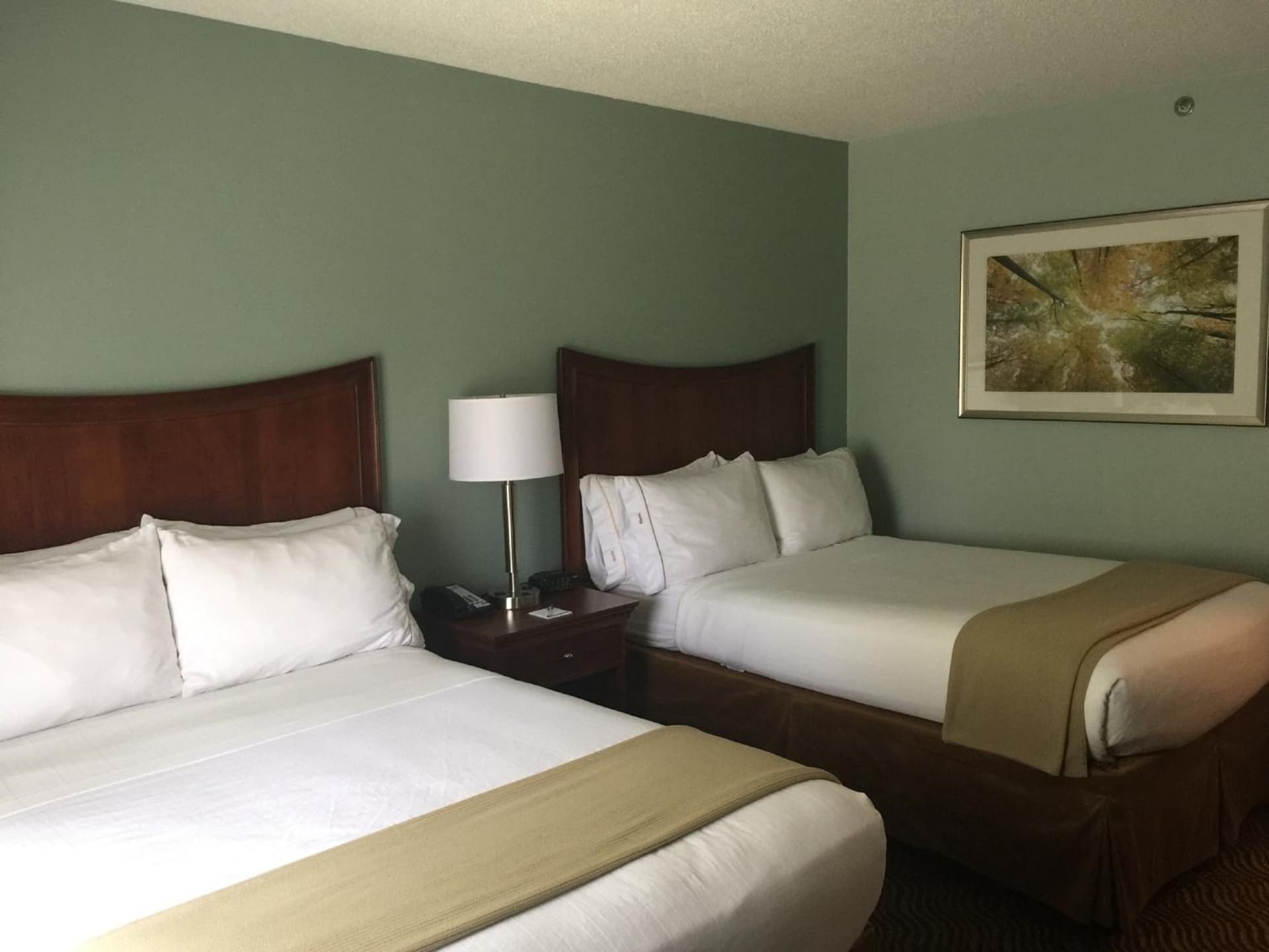 Baymont Inn & Suites by Wyndham Braselton gallery photo in Braselton, GA — image 32