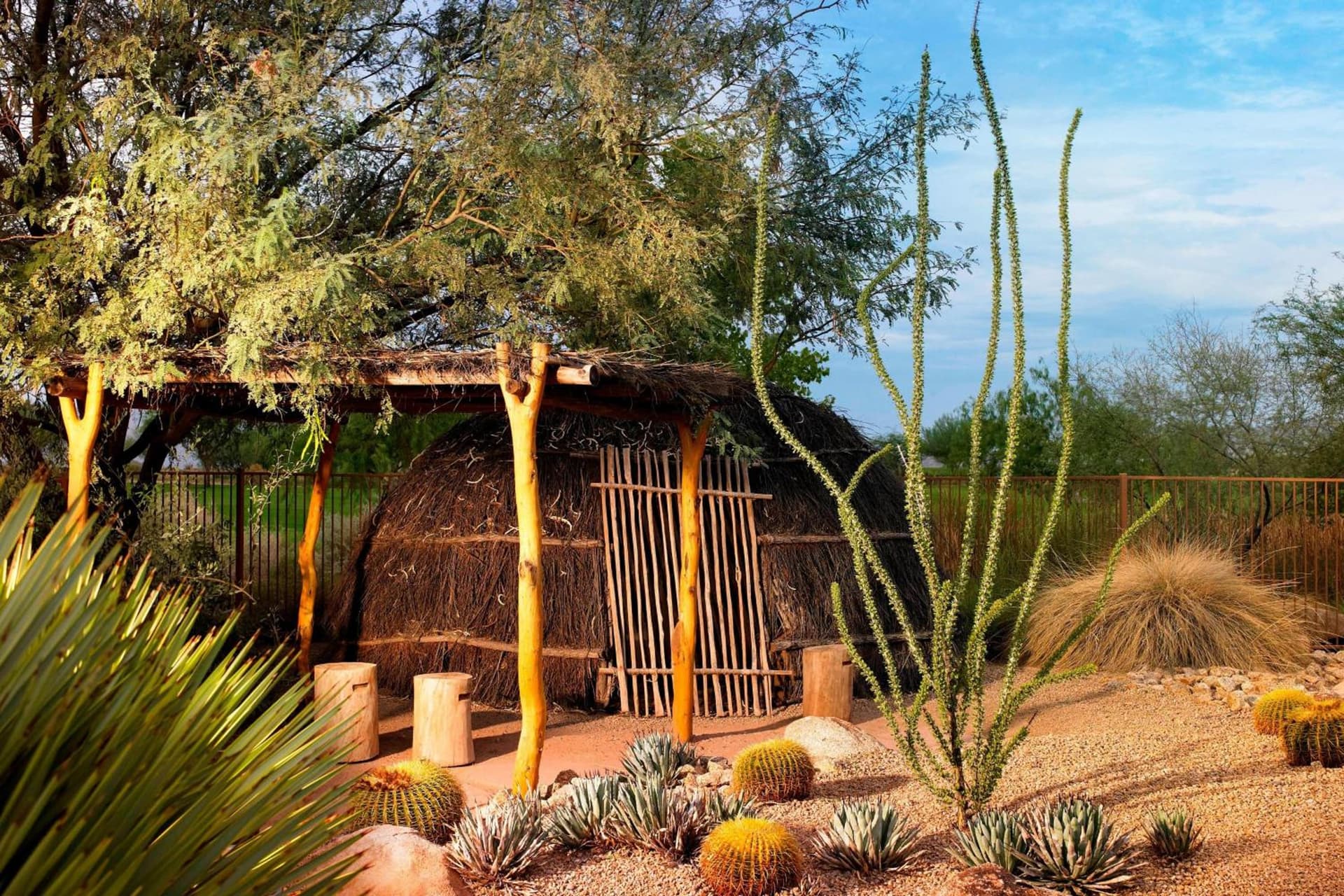 Sheraton Grand at Wild Horse Pass gallery photo in Chandler, AZ — image 113
