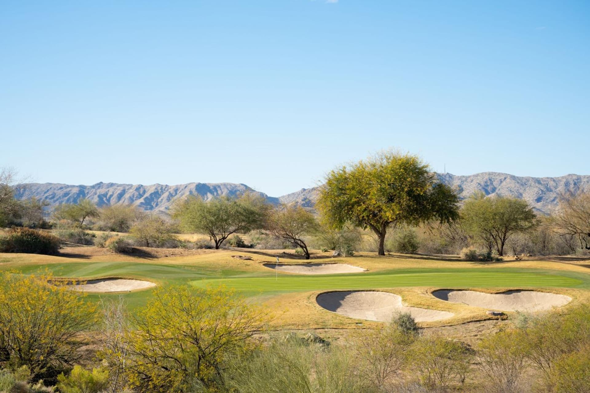 Sheraton Grand at Wild Horse Pass gallery photo in Chandler, AZ — image 111