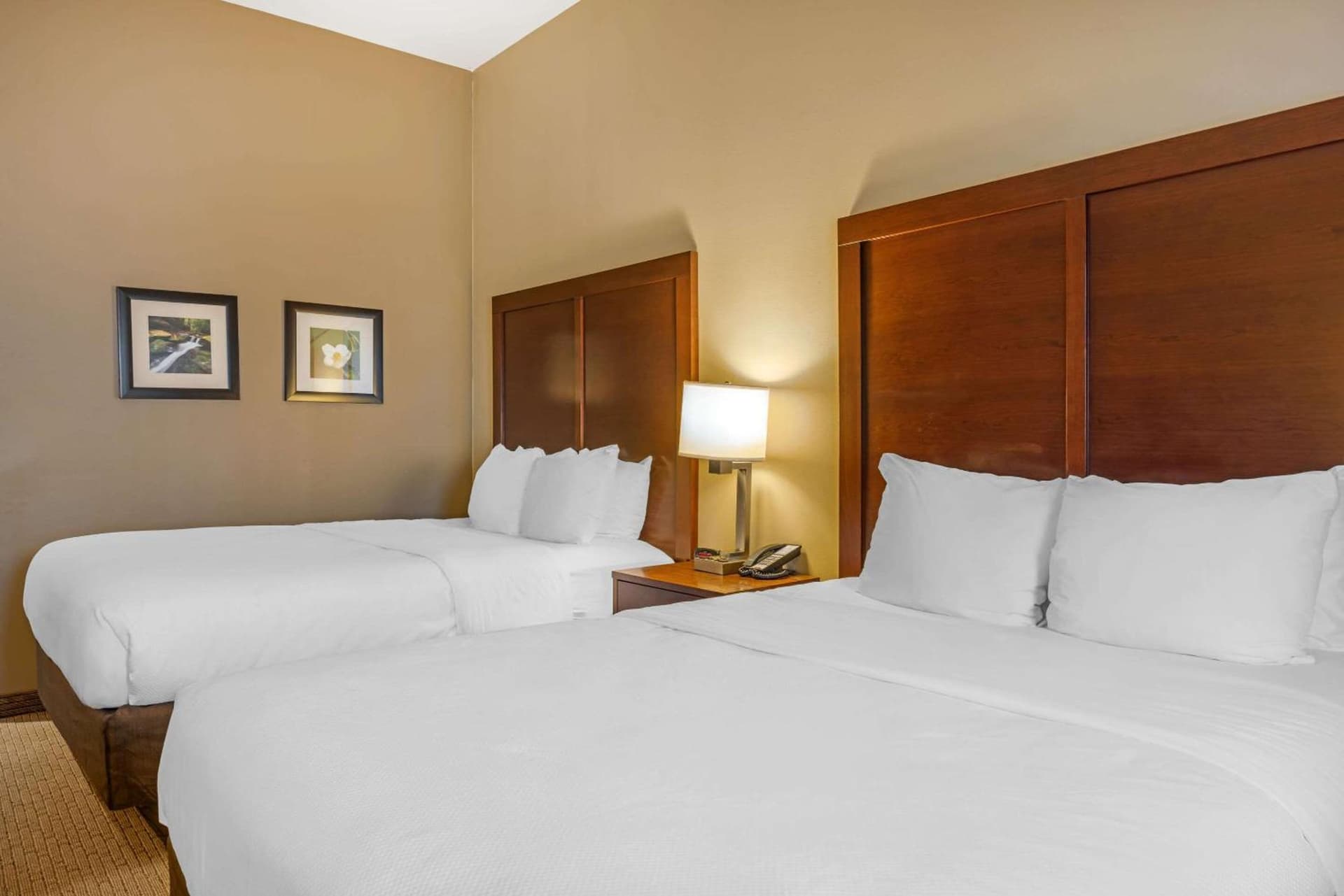 Comfort Inn & Suites At CrossPlex Village gallery photo in Birmingham, AL — image 36