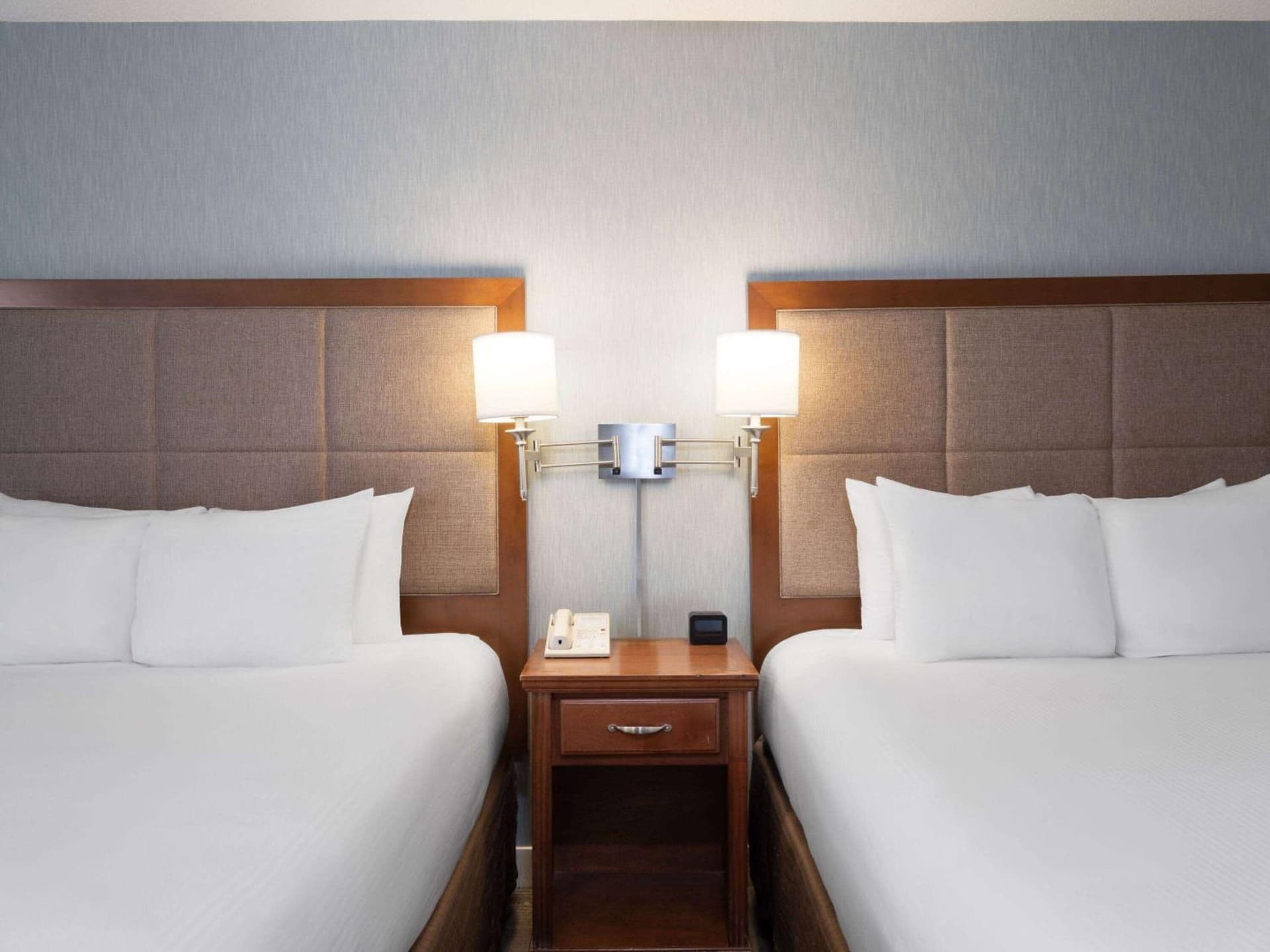 Wingate by Wyndham St Louis Airport gallery photo in Saint Ann, MO — image 34