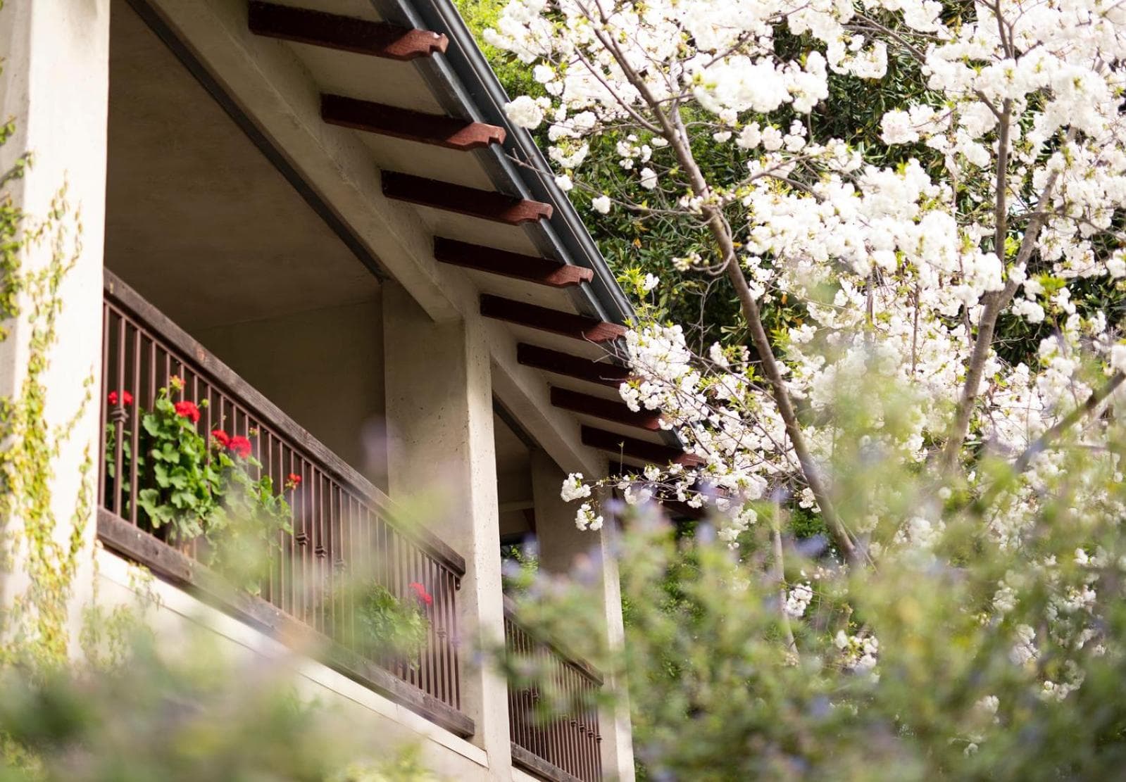 Appellation Lodi - Wine & Roses Resort and Spa gallery photo in Lodi, CA — image 55