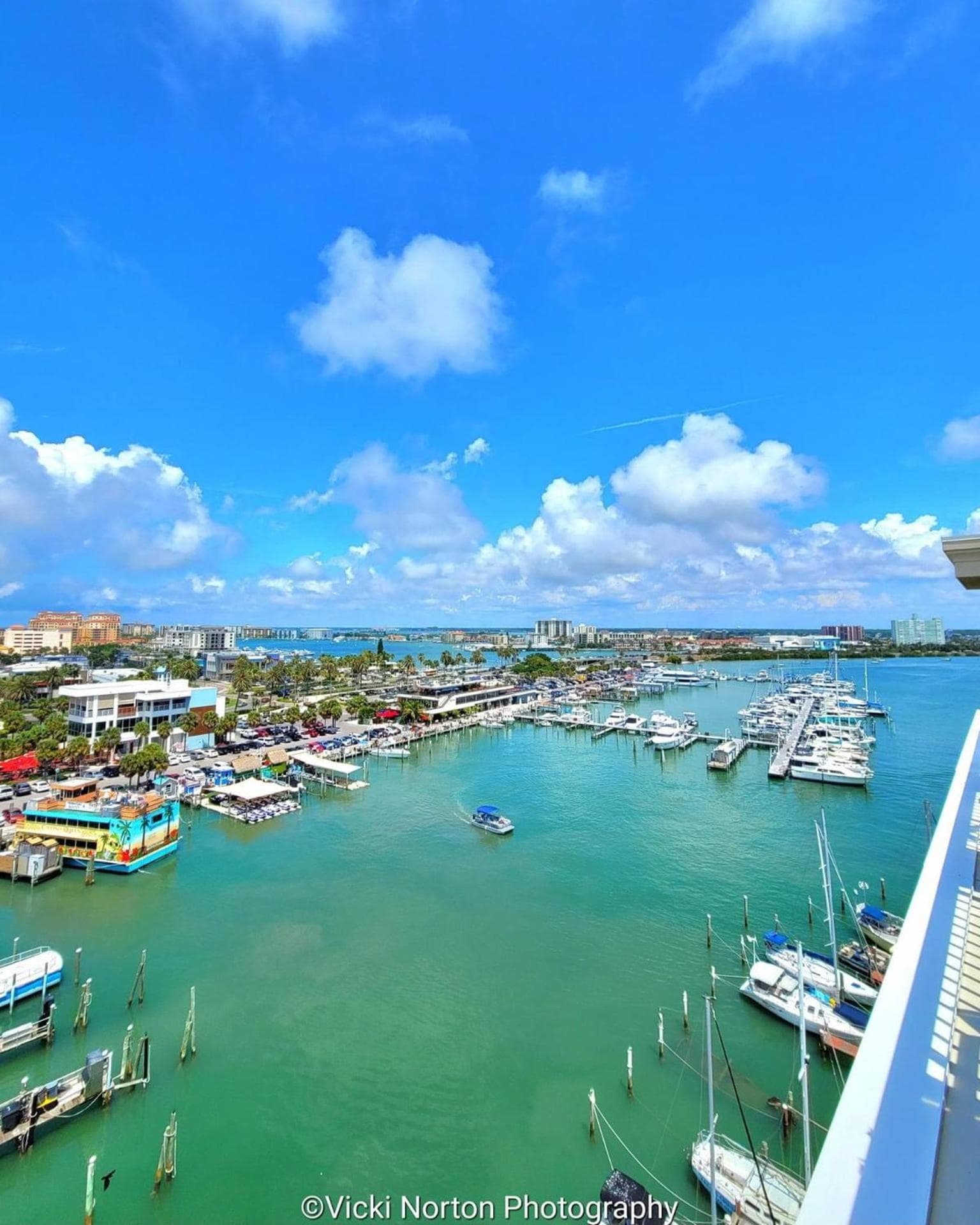 Pier House 60 Clearwater Beach Marina Hotel gallery photo in Clearwater Beach, FL — image 21