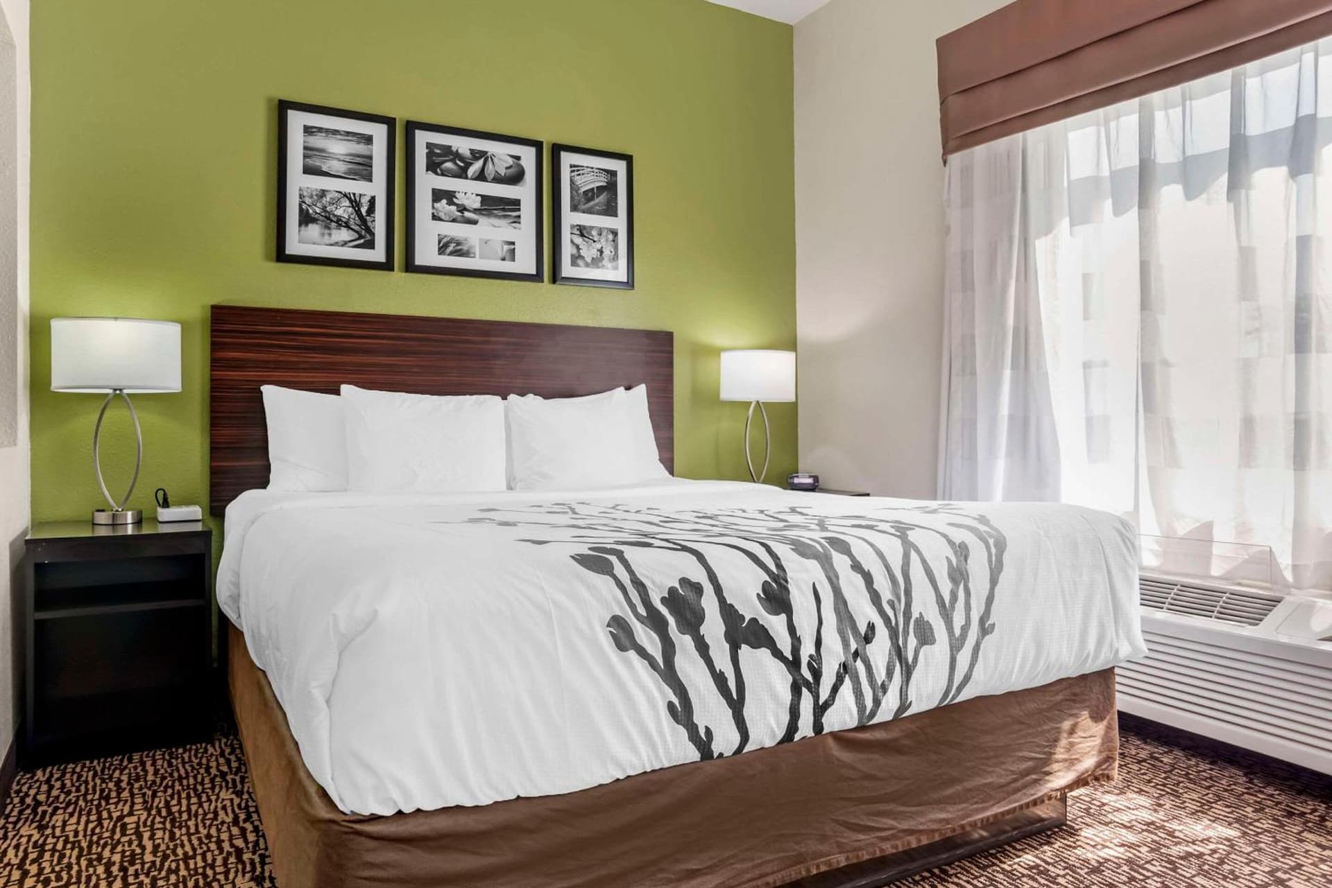 Sleep Inn & Suites Montgomery East I-85 gallery photo in Montgomery, AL — image 21