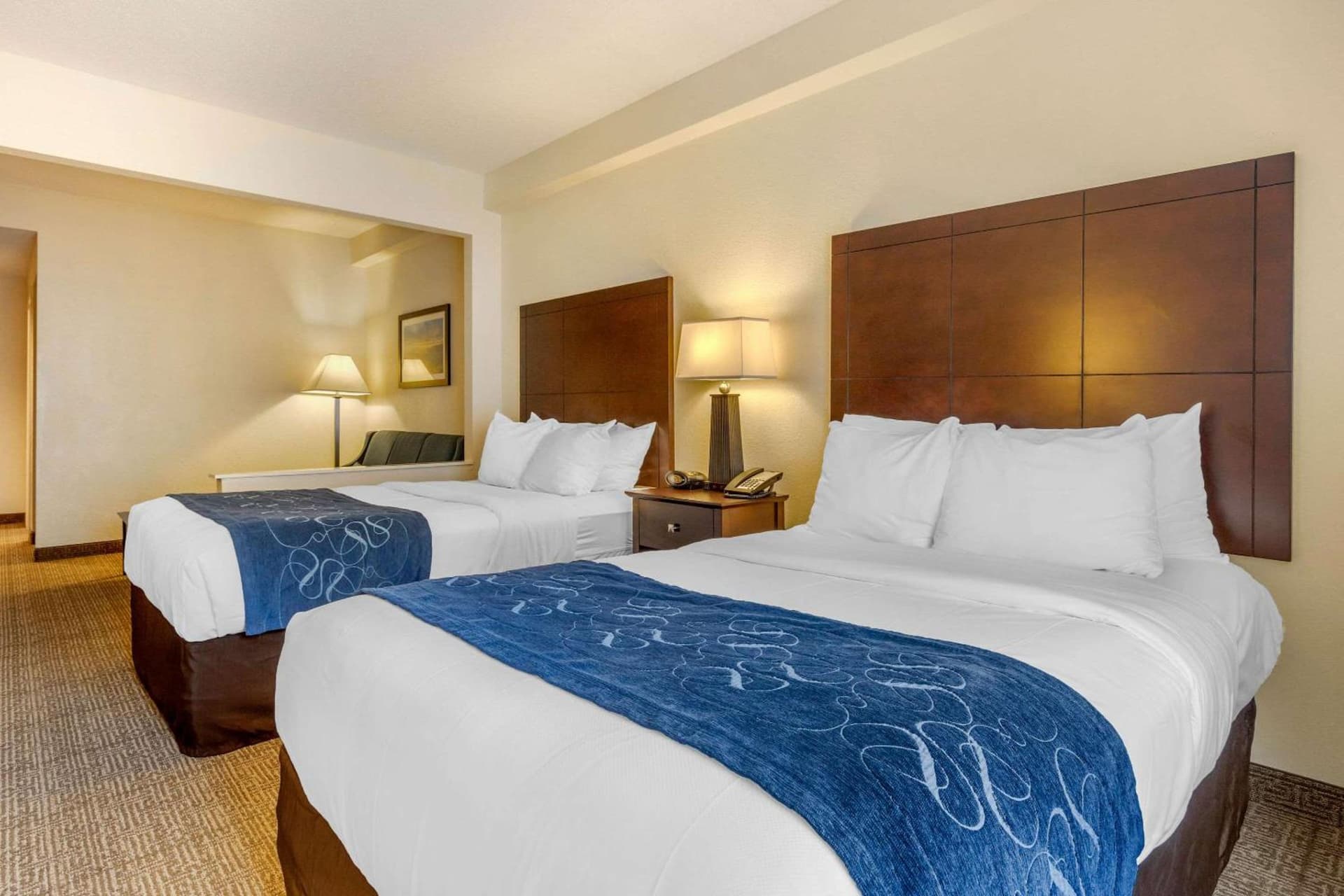 Comfort Suites Gastonia - Charlotte gallery photo in Gastonia, NC — image 9