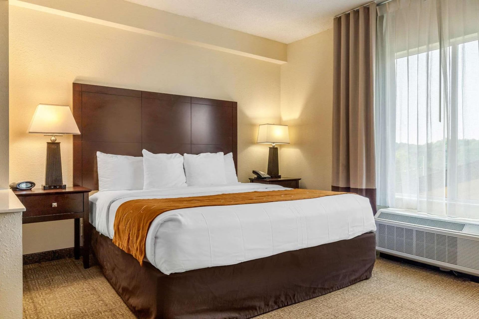 Comfort Suites Gastonia - Charlotte gallery photo in Gastonia, NC — image 35