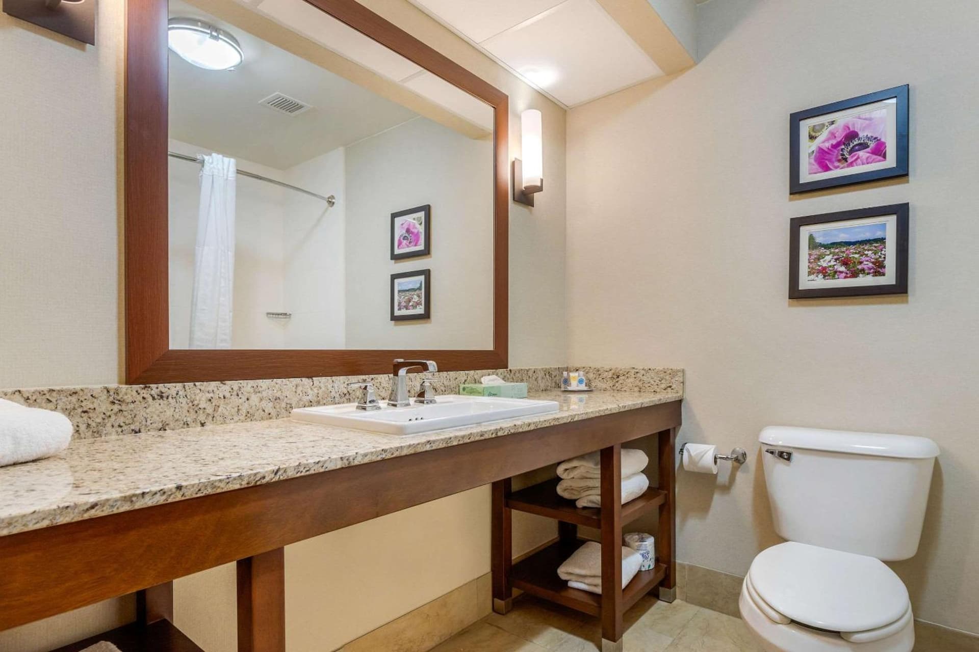 Comfort Suites Gastonia - Charlotte gallery photo in Gastonia, NC — image 6