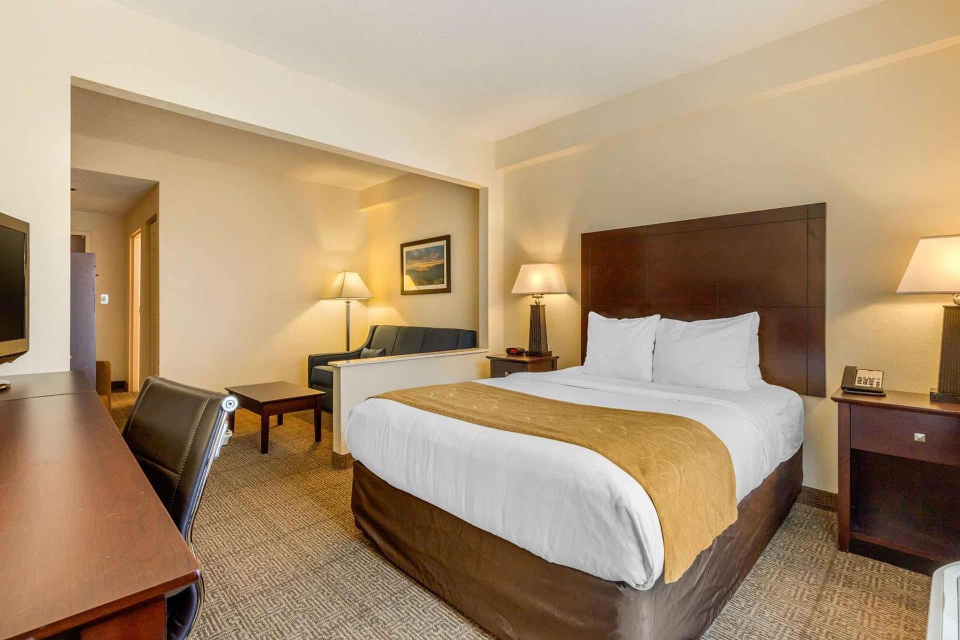 Comfort Suites Gastonia - Charlotte gallery photo in Gastonia, NC — image 28