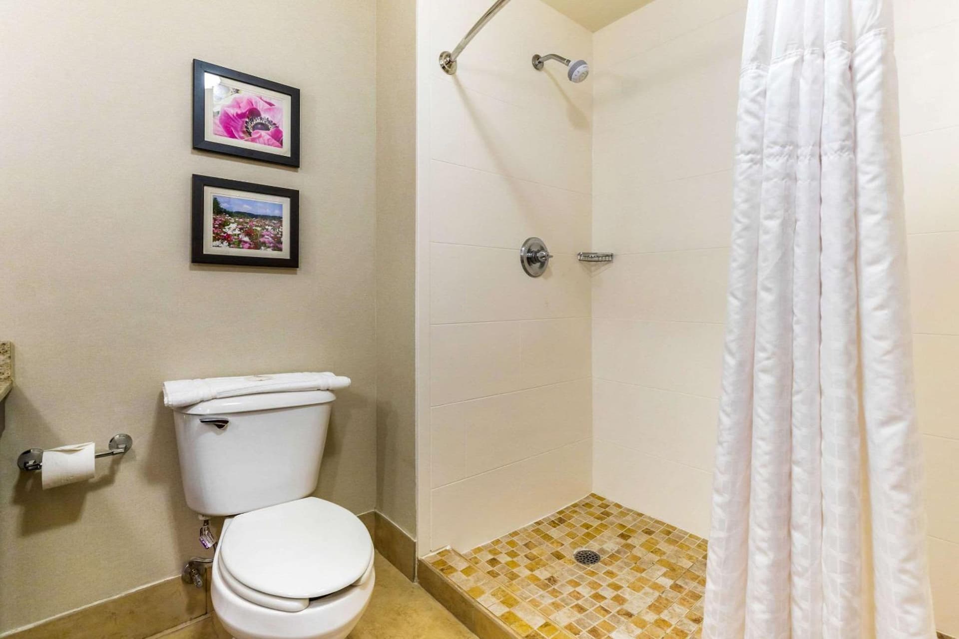 Comfort Suites Gastonia - Charlotte gallery photo in Gastonia, NC — image 5