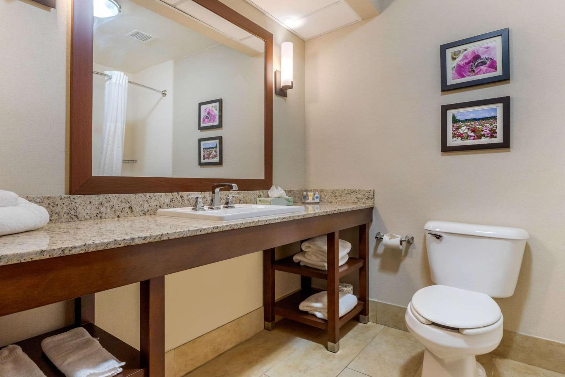 Comfort Suites Gastonia - Charlotte gallery photo in Gastonia, NC — image 17