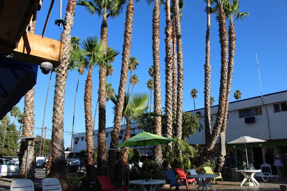 Tradewinds Hotel LAX Airport gallery photo in Inglewood, CA — image 21