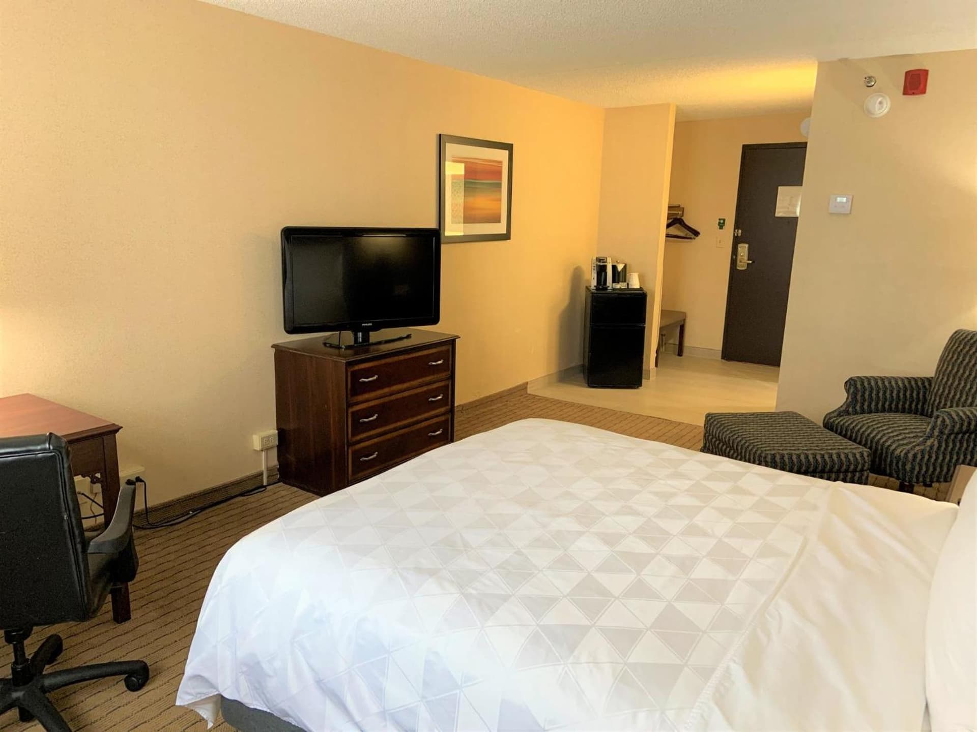 Holiday Inn & Suites Chicago-Carol Stream Wheaton by IHG gallery photo in Carol Stream, IL — image 41