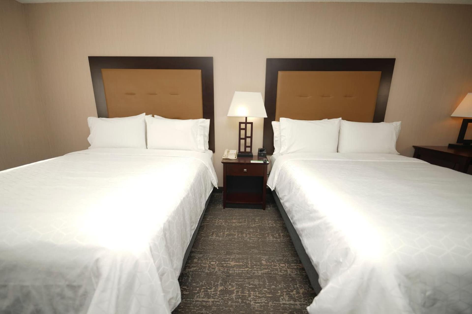 Holiday Inn & Suites Chicago-Carol Stream Wheaton by IHG gallery photo in Carol Stream, IL — image 10