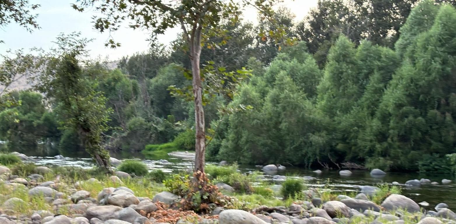 Sequoia River Front Cabins gallery photo in Three Rivers, CA — image 134