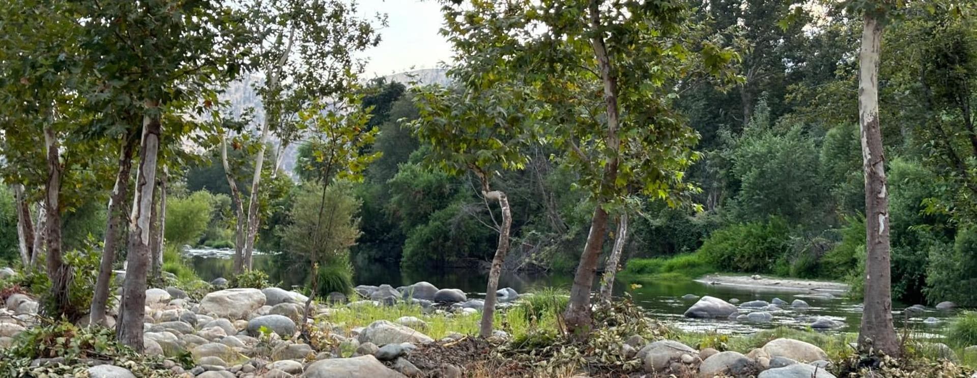 Sequoia River Front Cabins gallery photo in Three Rivers, CA — image 70