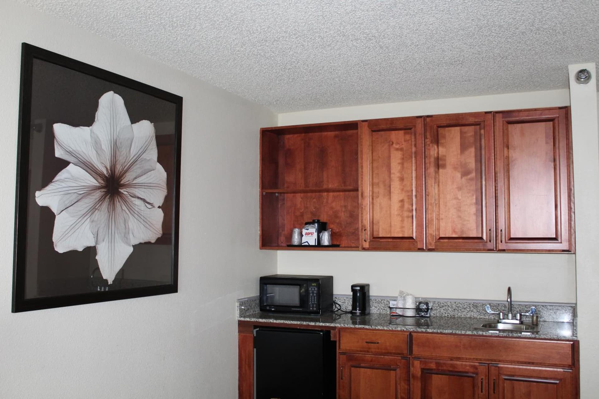 AmericInn by Wyndham Windsor Ft. Collins gallery photo in Fort Collins, CO — image 15