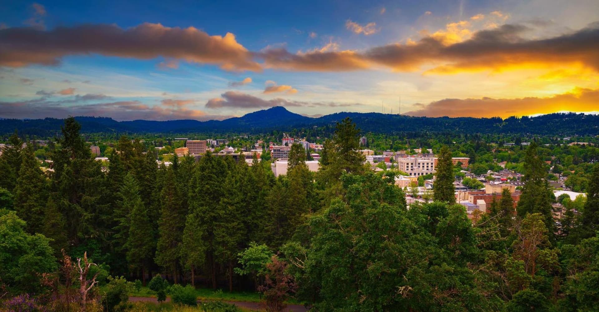 Holiday Inn Express : Eugene - Springfield by IHG gallery photo in Springfield, OR — image 50