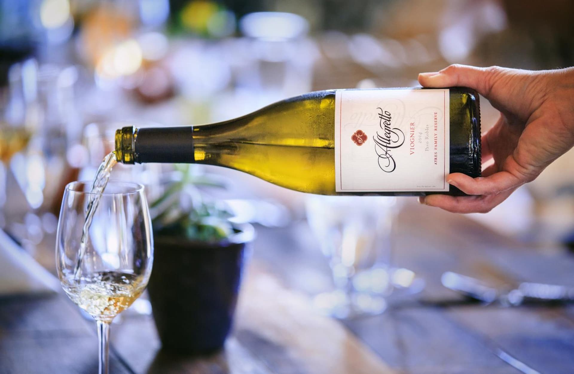Allegretto Vineyard Resort Paso Robles gallery photo in Paso Robles, CA — image 39