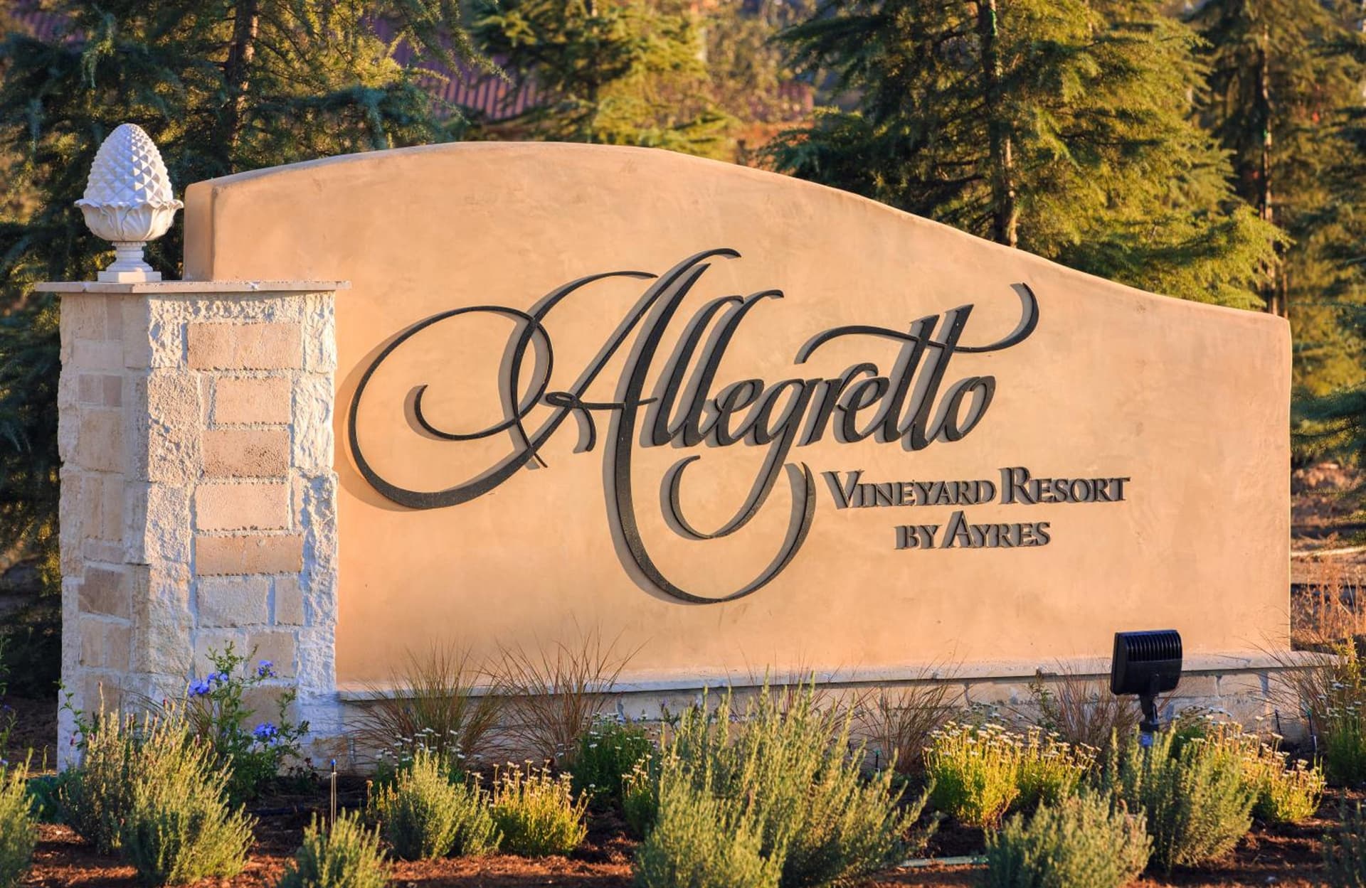 Allegretto Vineyard Resort Paso Robles gallery photo in Paso Robles, CA — image 60