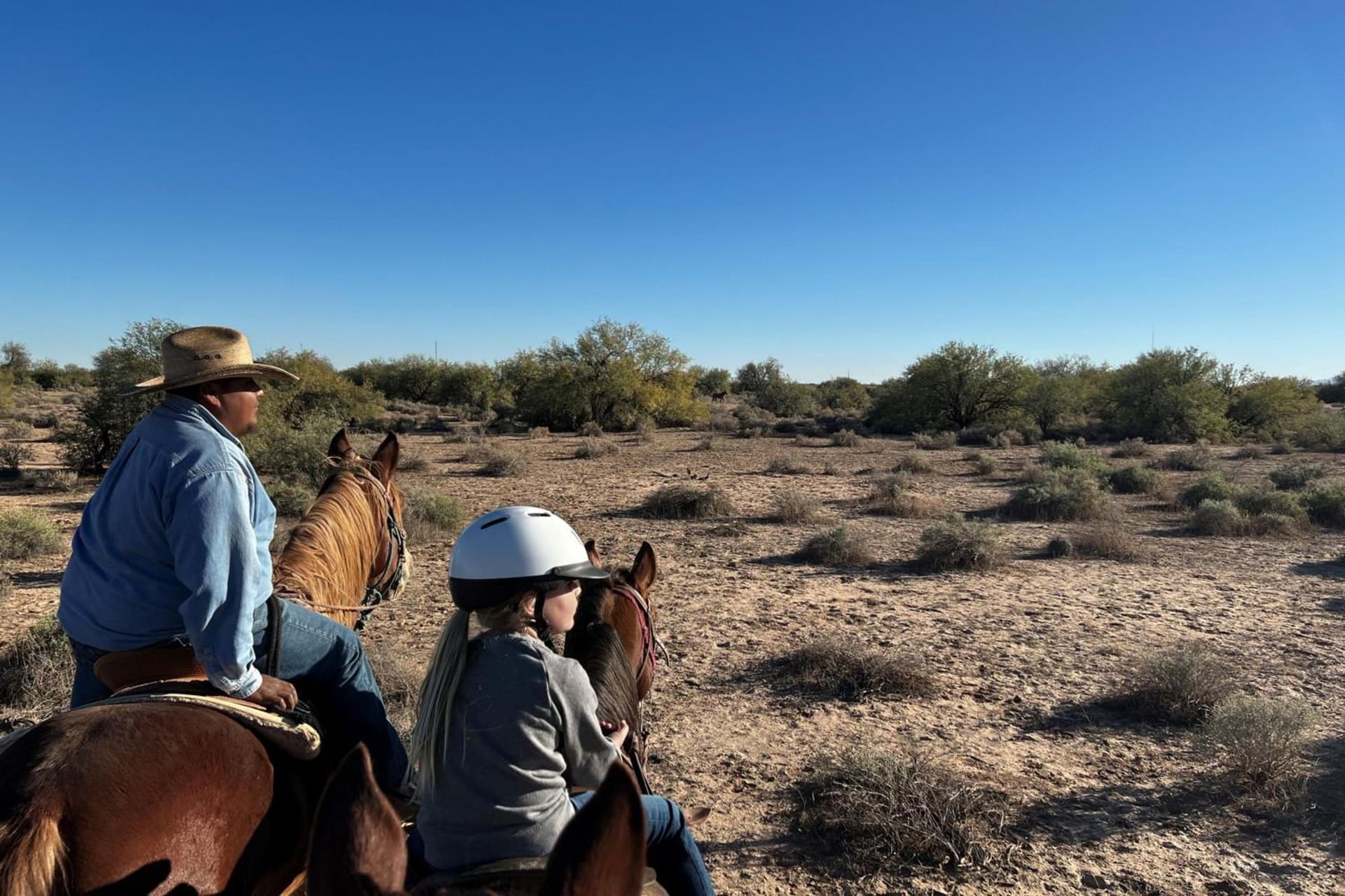 Sheraton Grand at Wild Horse Pass gallery photo in Chandler, AZ — image 30